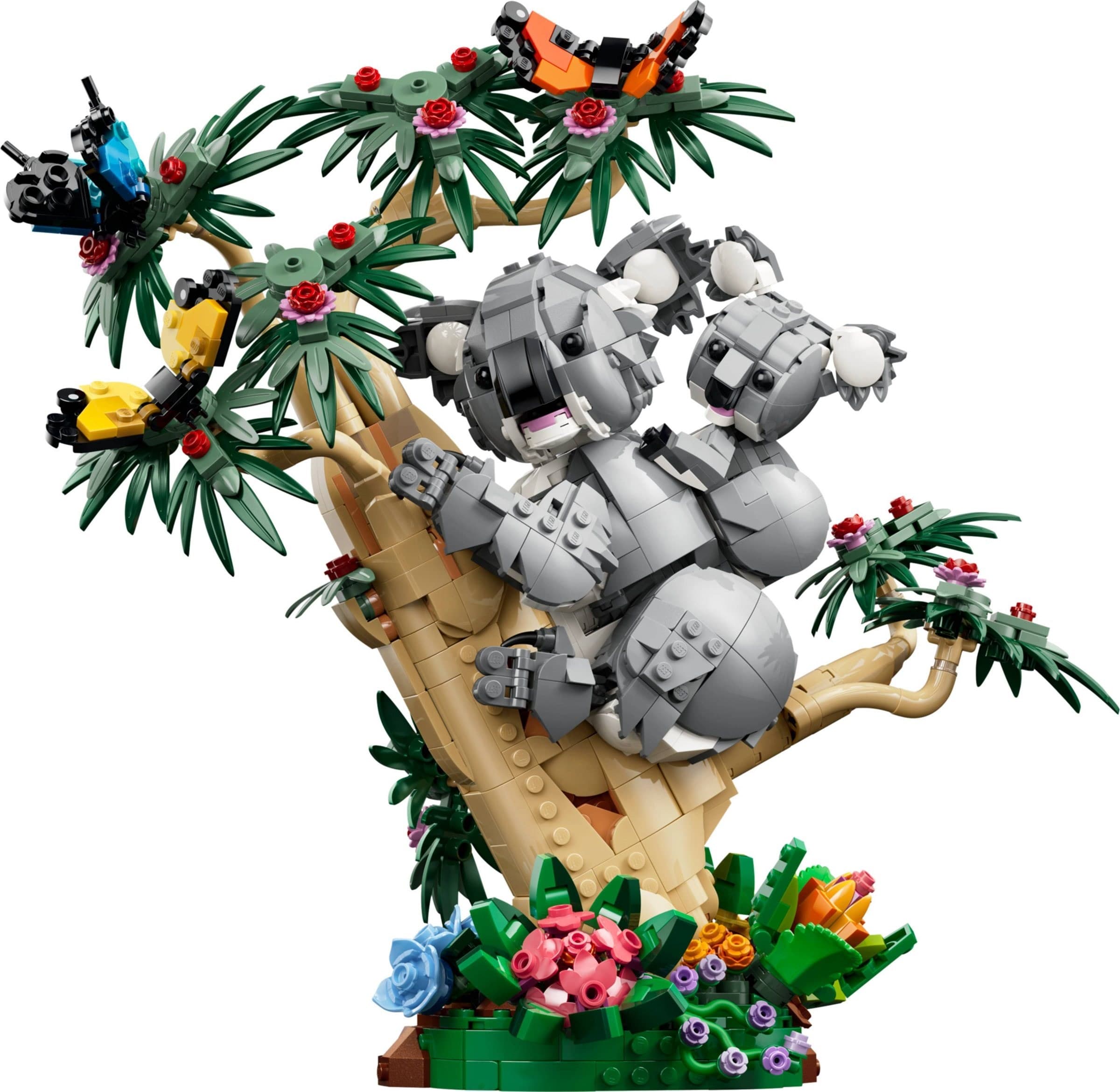 Wild Animals: Family of Koalas