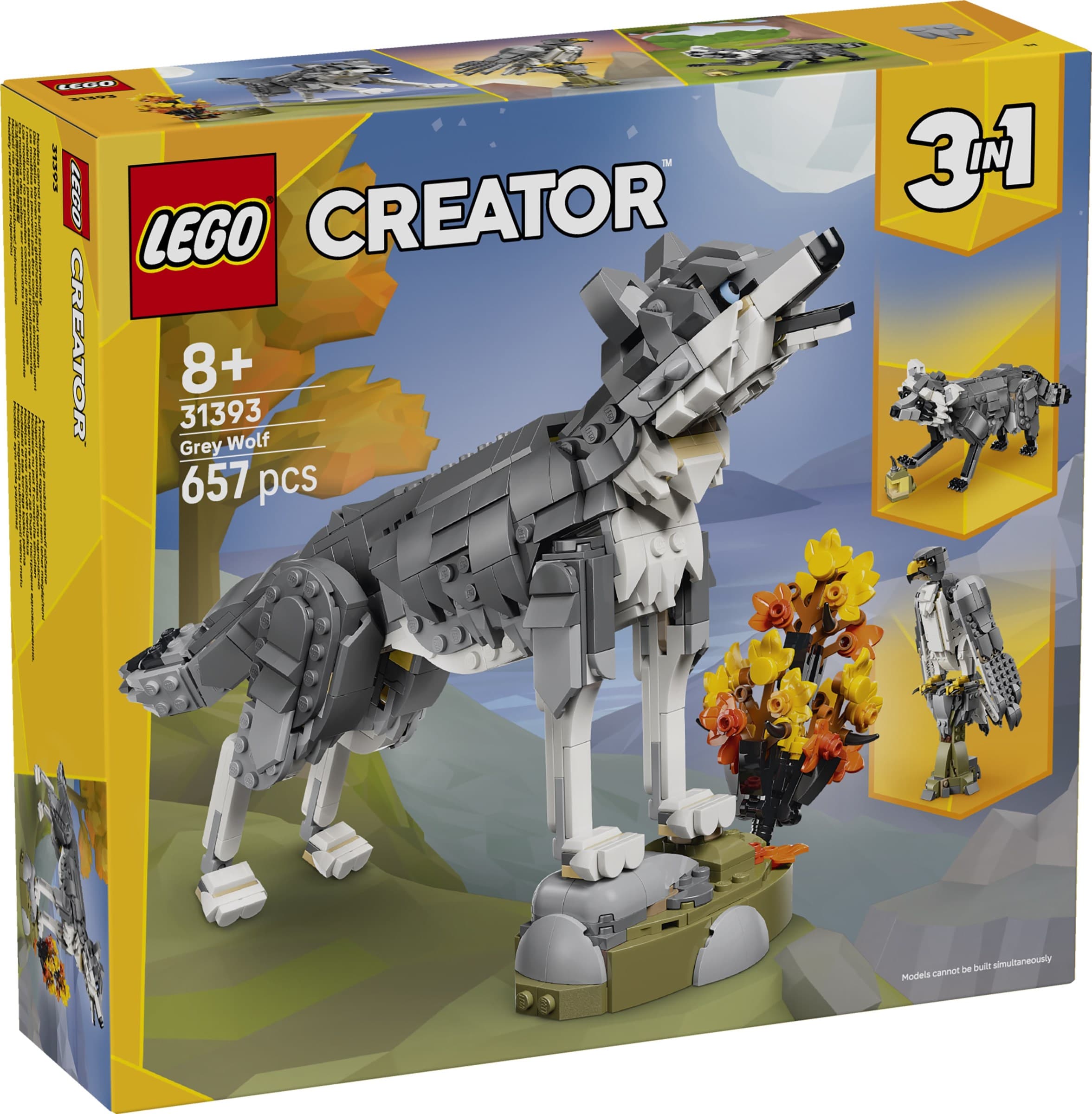 Forest Animals: Gray Wolf