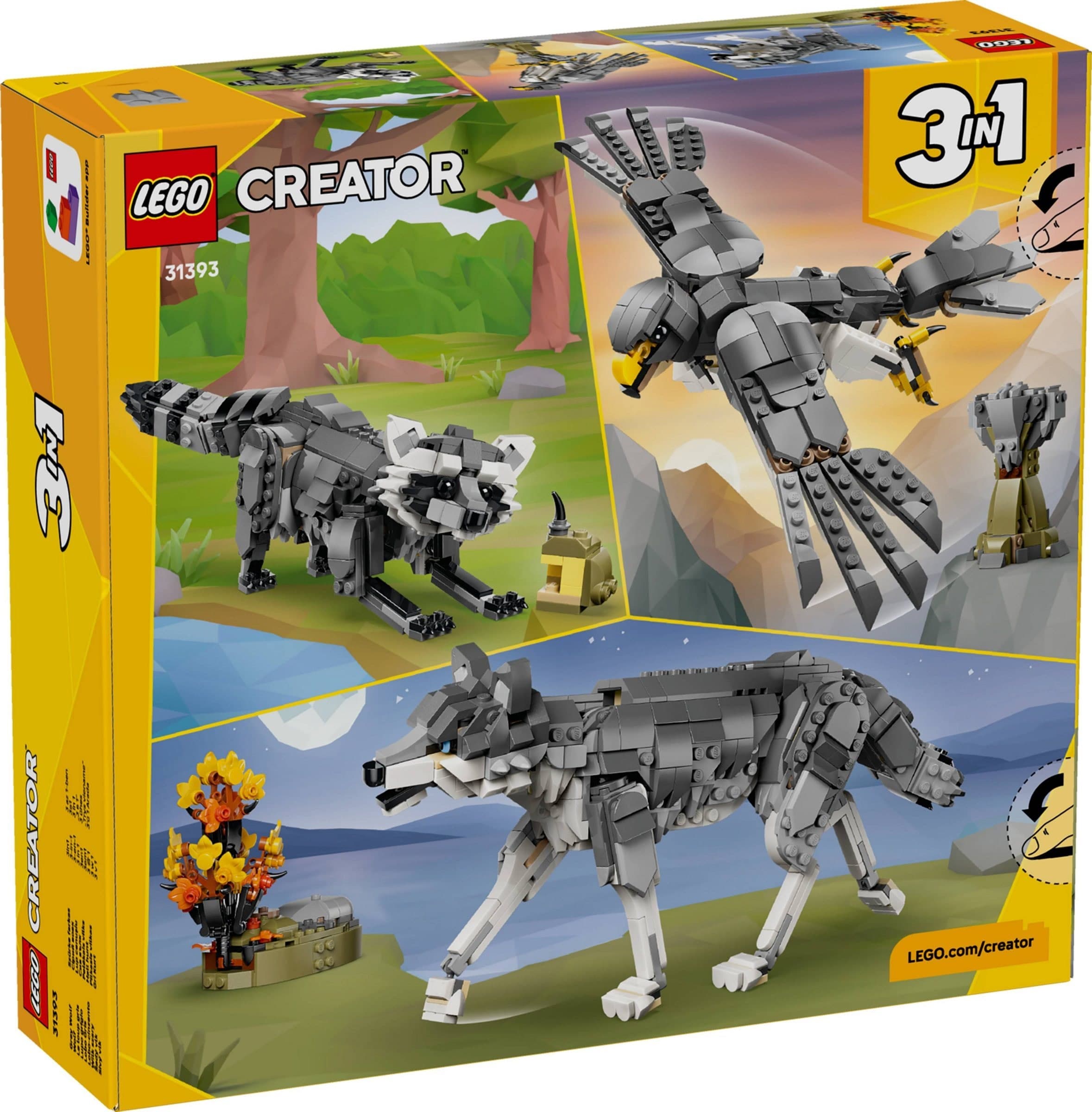Forest Animals: Gray Wolf