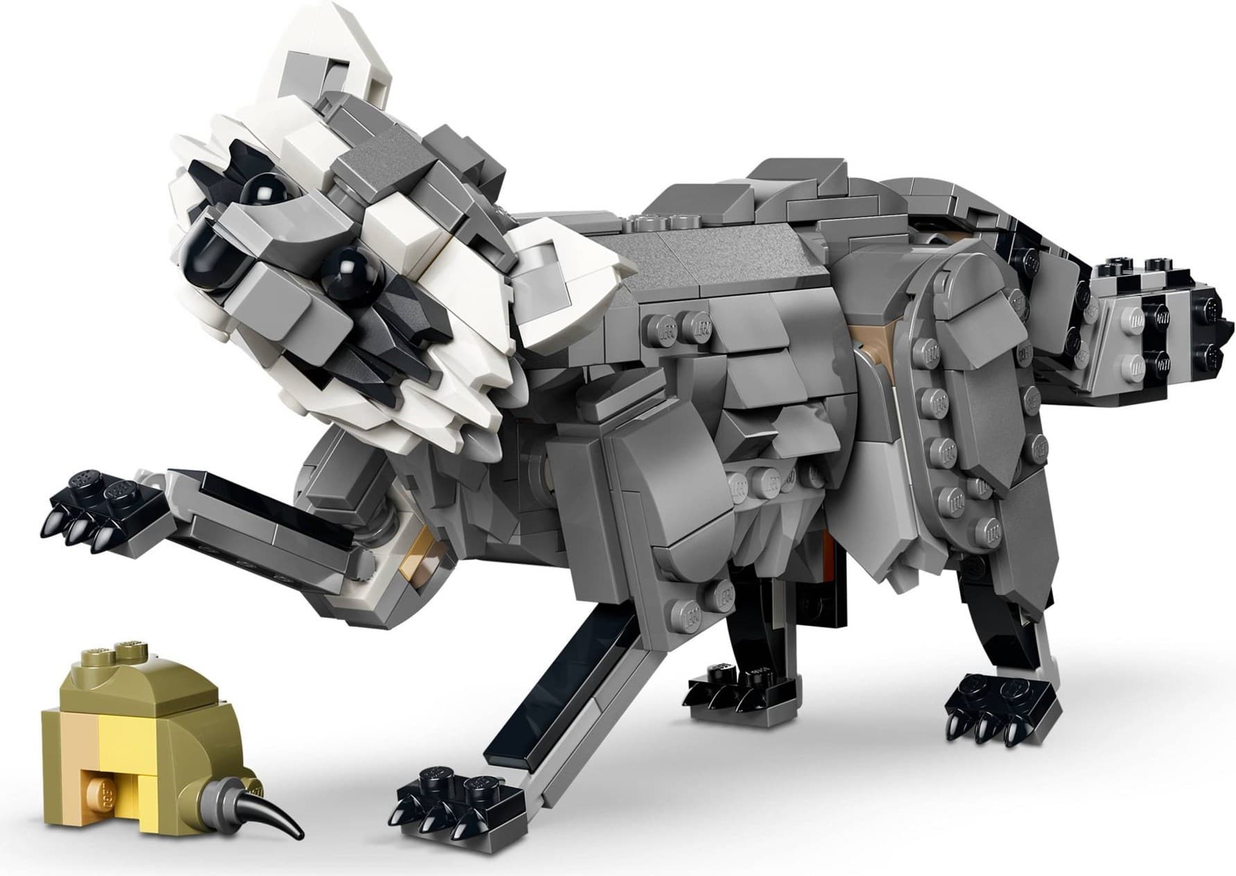 Forest Animals: Gray Wolf