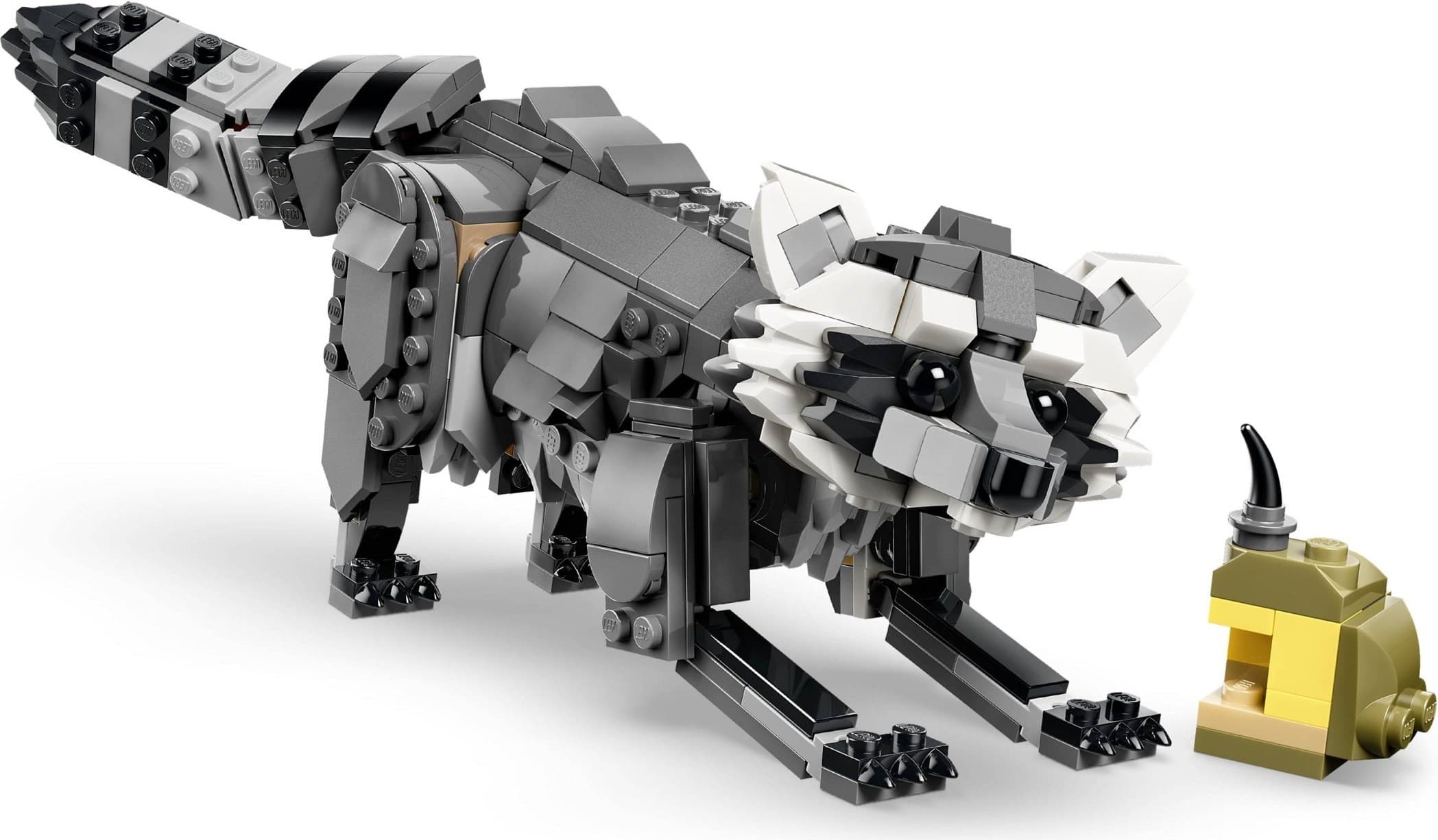 Forest Animals: Gray Wolf