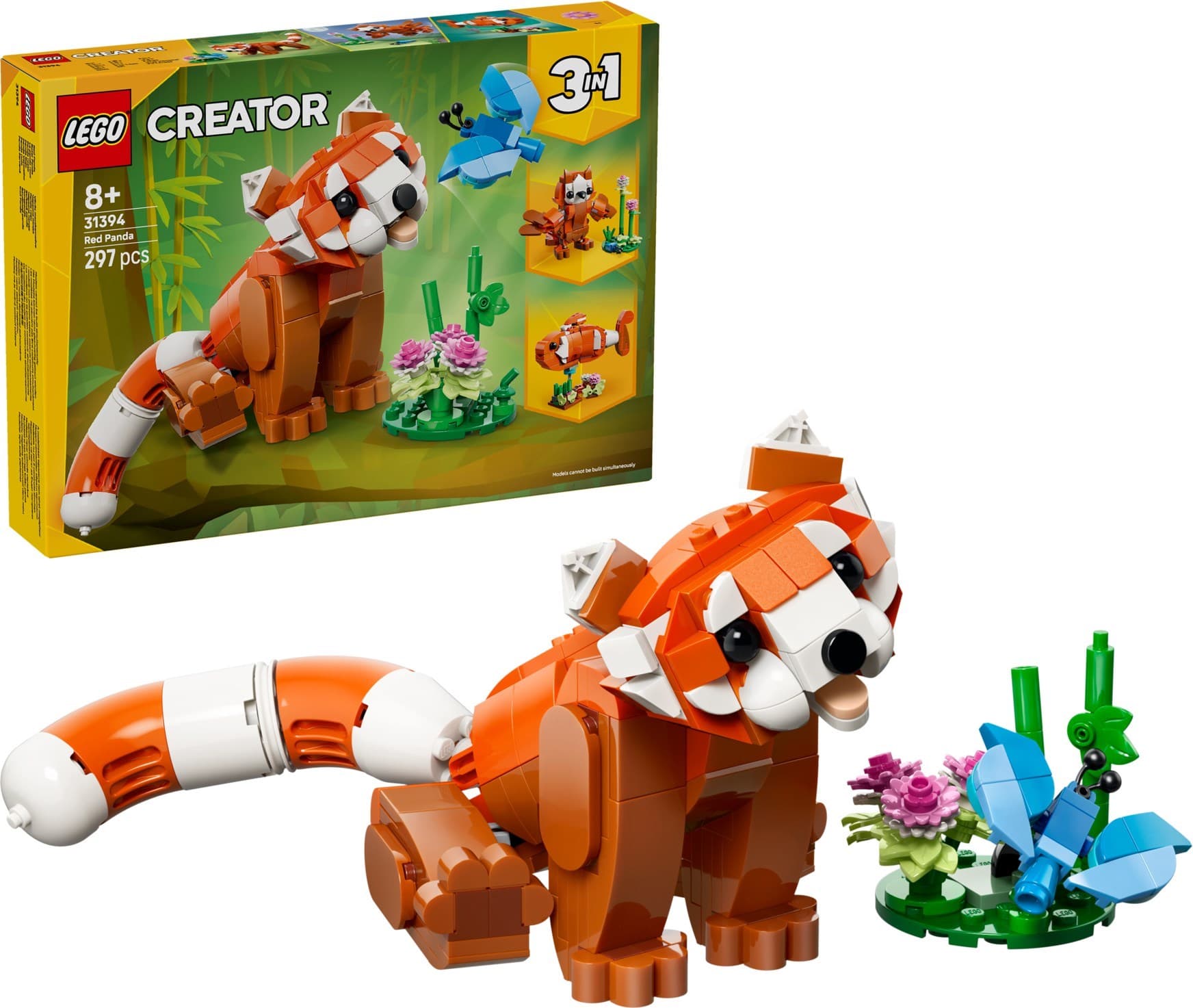 Cute Animals: Red Panda