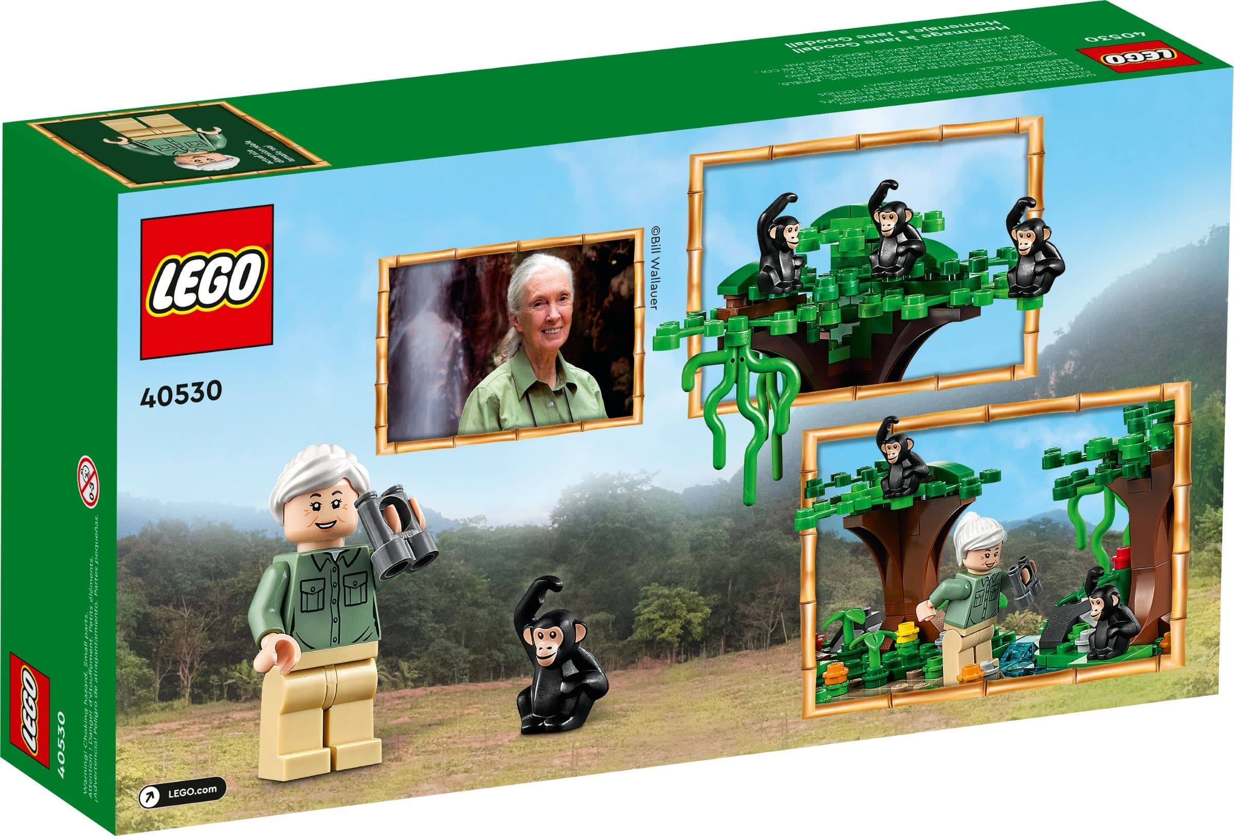 Jane Goodall Tribute