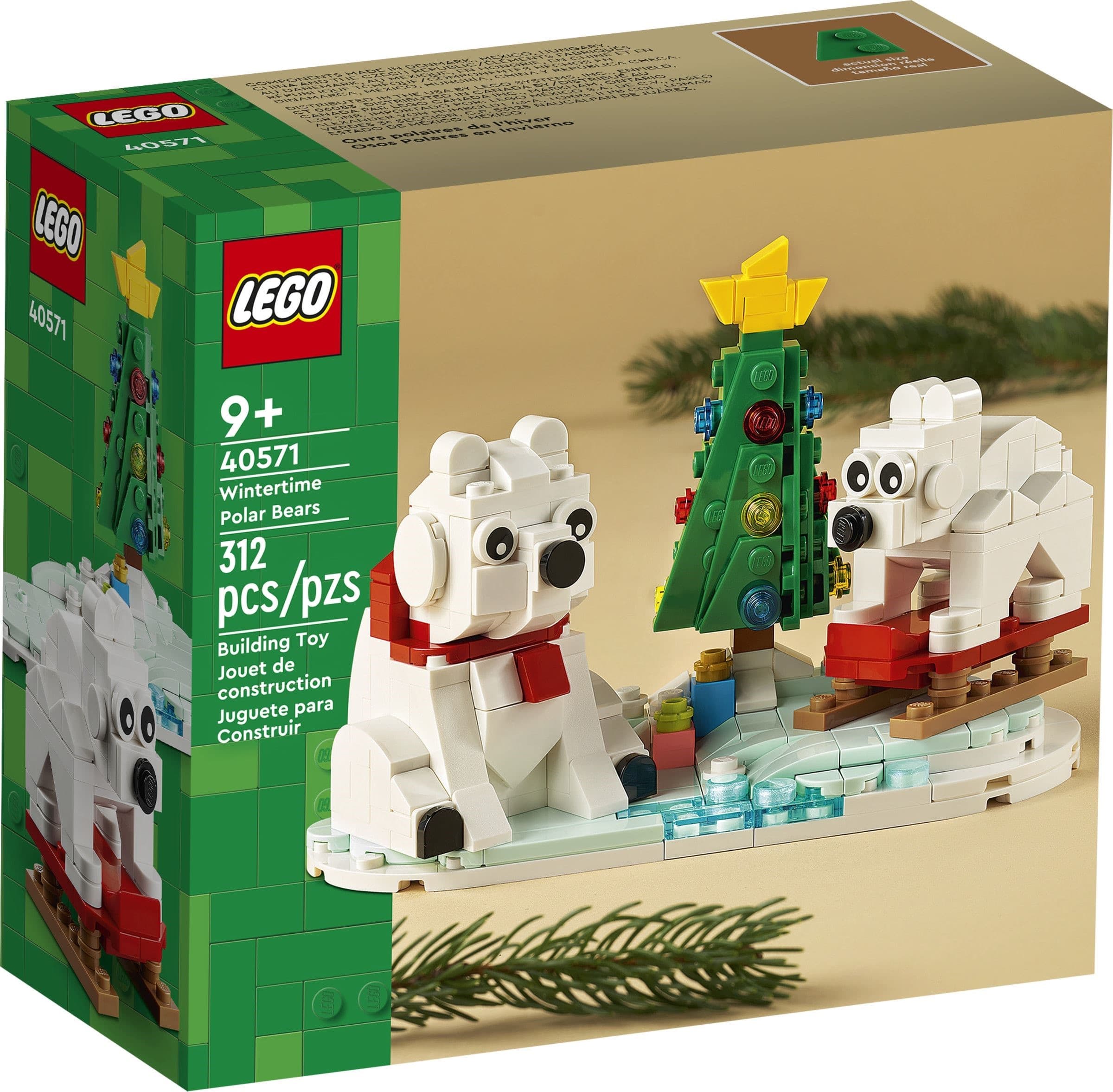 Wintertime Polar Bears