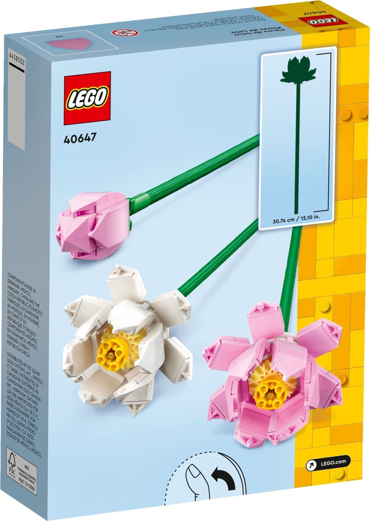 Lotus Flowers