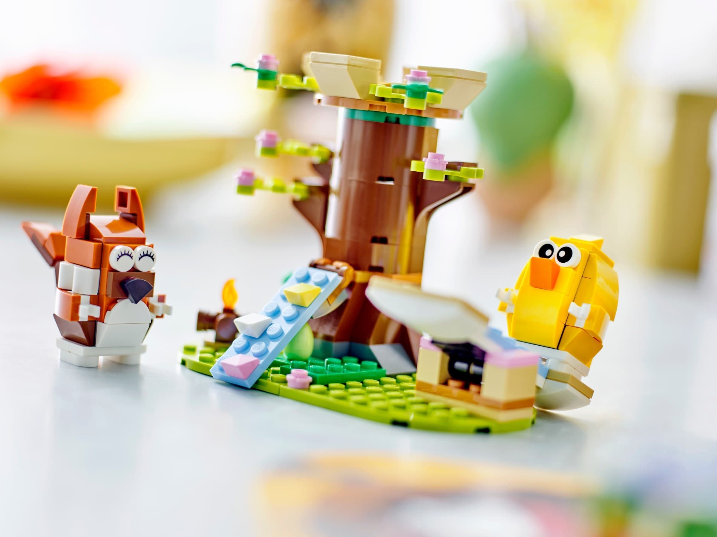 Spring Animal Playground 
