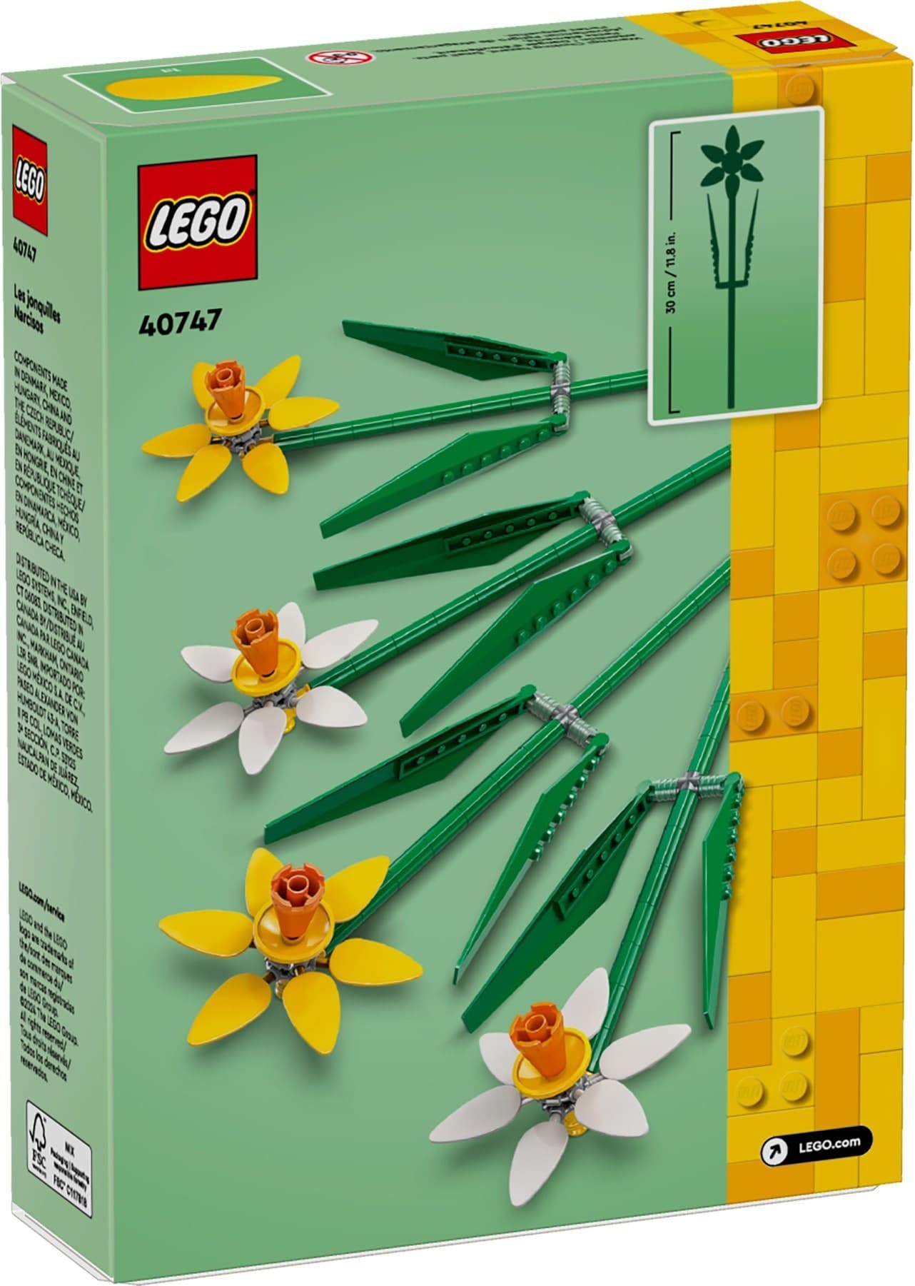 Daffodils