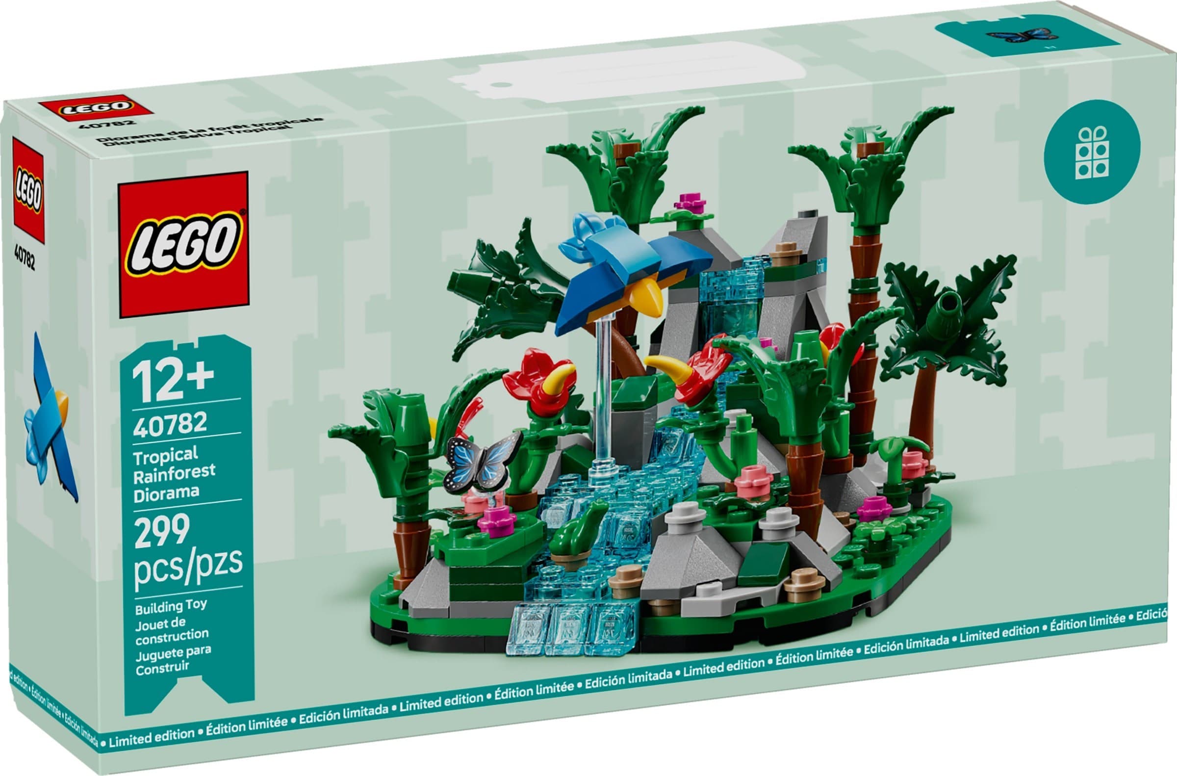 Tropical Rainforest Diorama