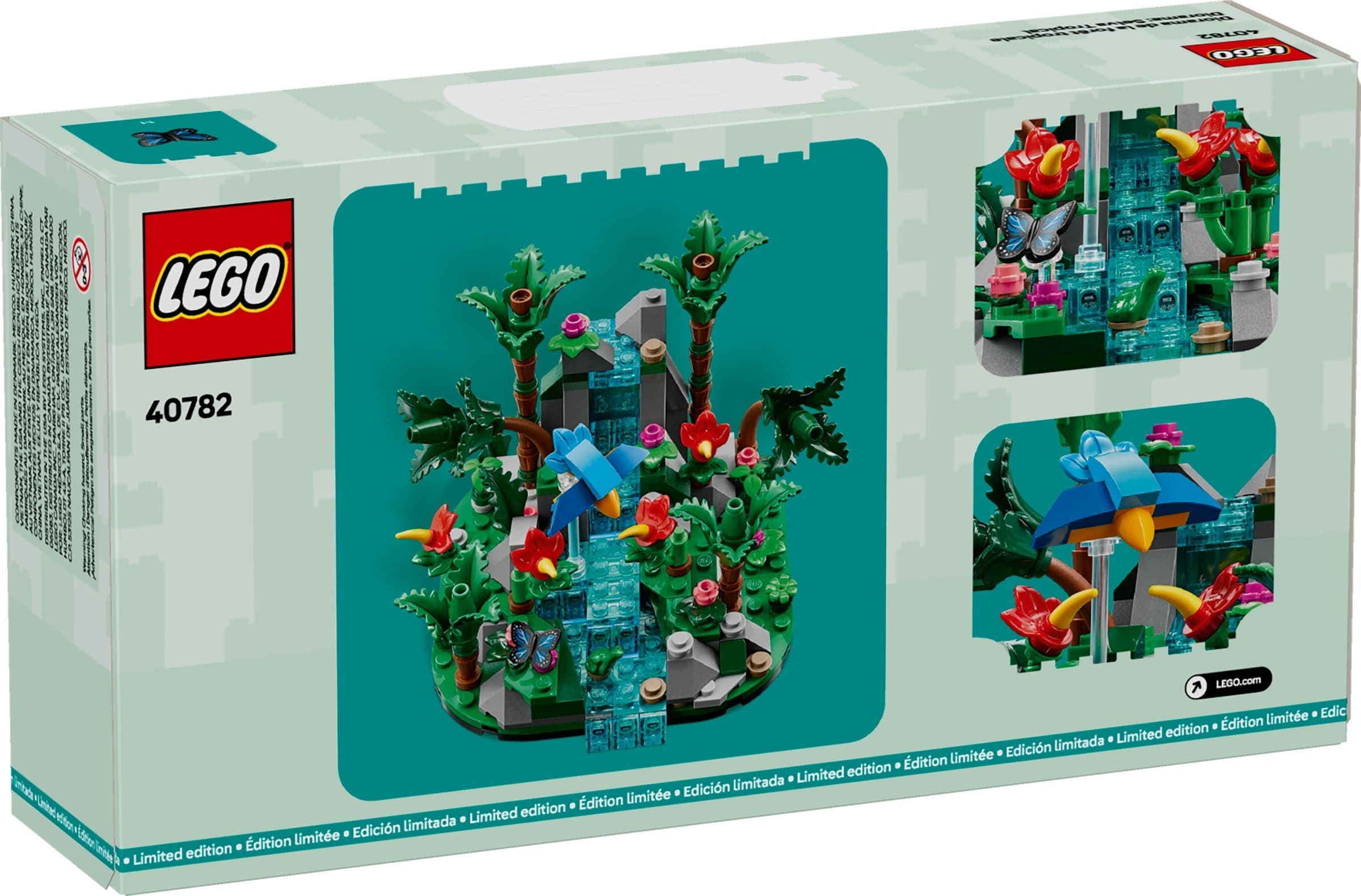 Tropical Rainforest Diorama