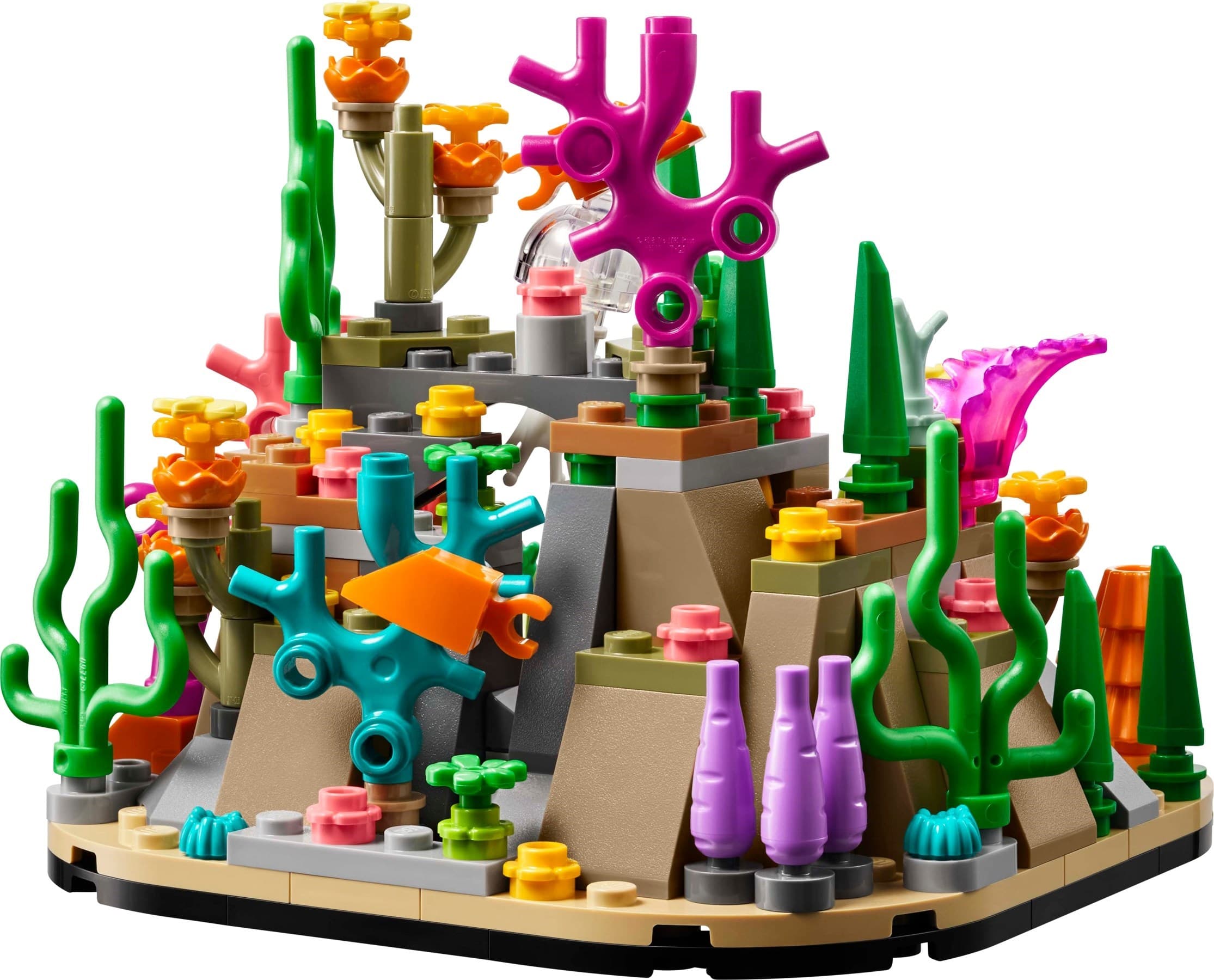 Coral Reef Diorama