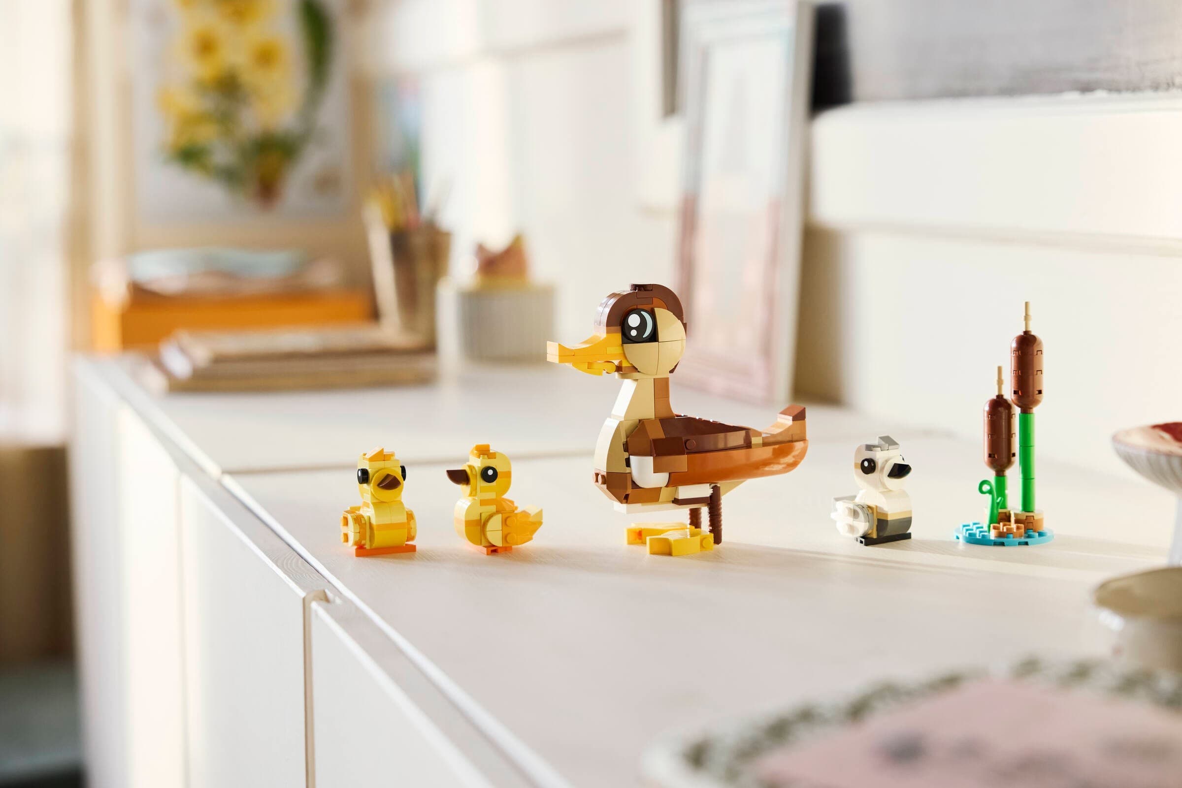Duck Family