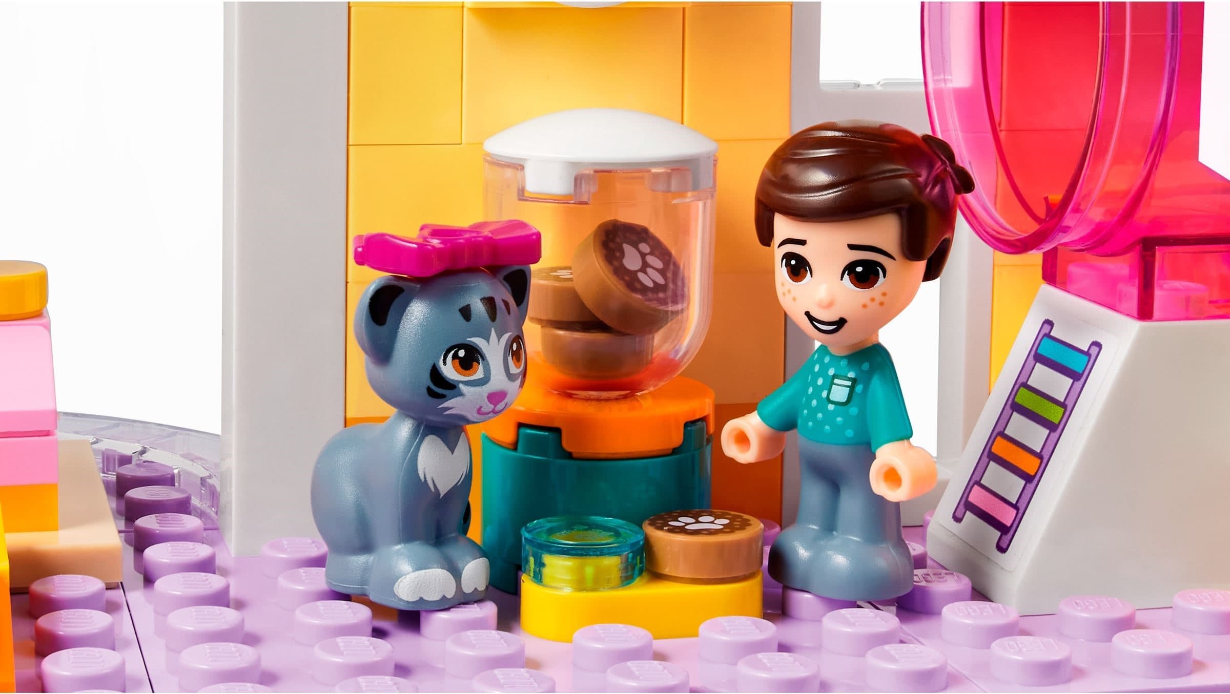 Pet Day-Care Center