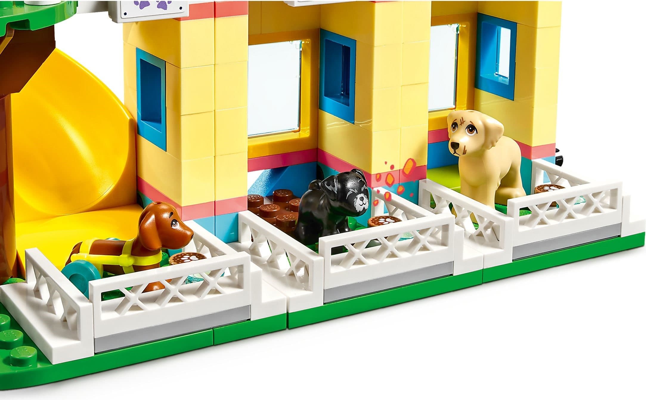 Dog Rescue Center