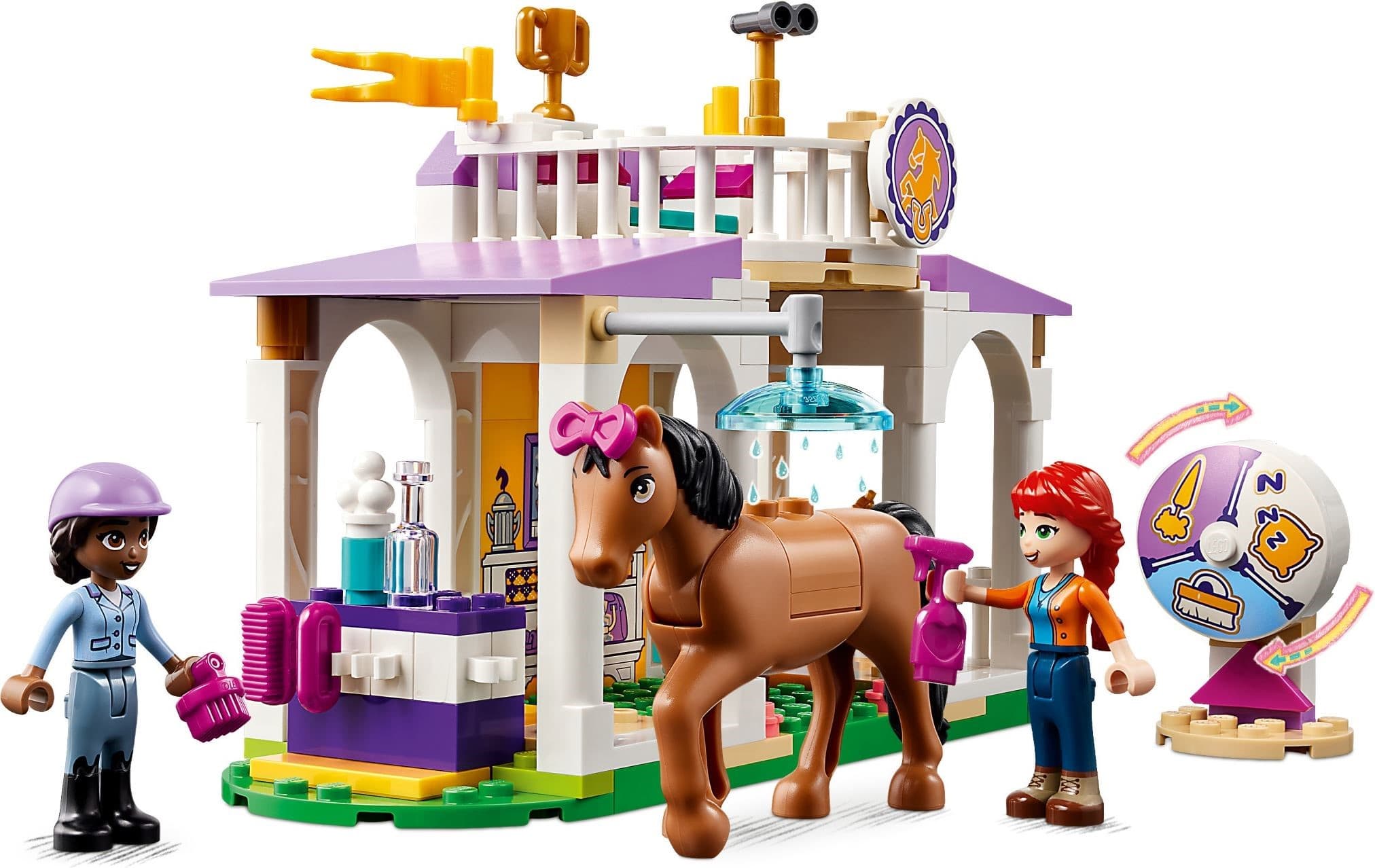 Horse Training