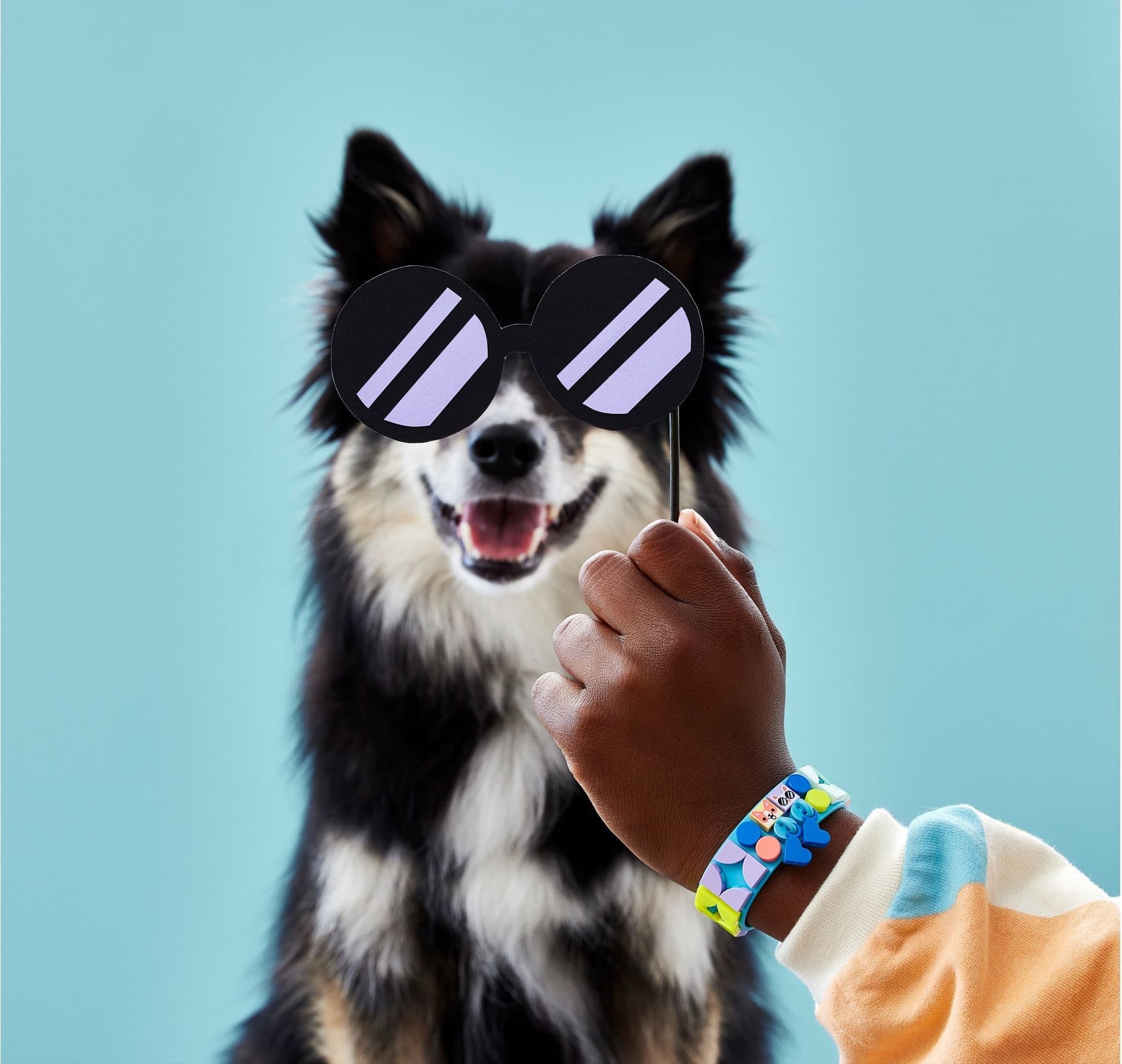 My Pets Bracelet