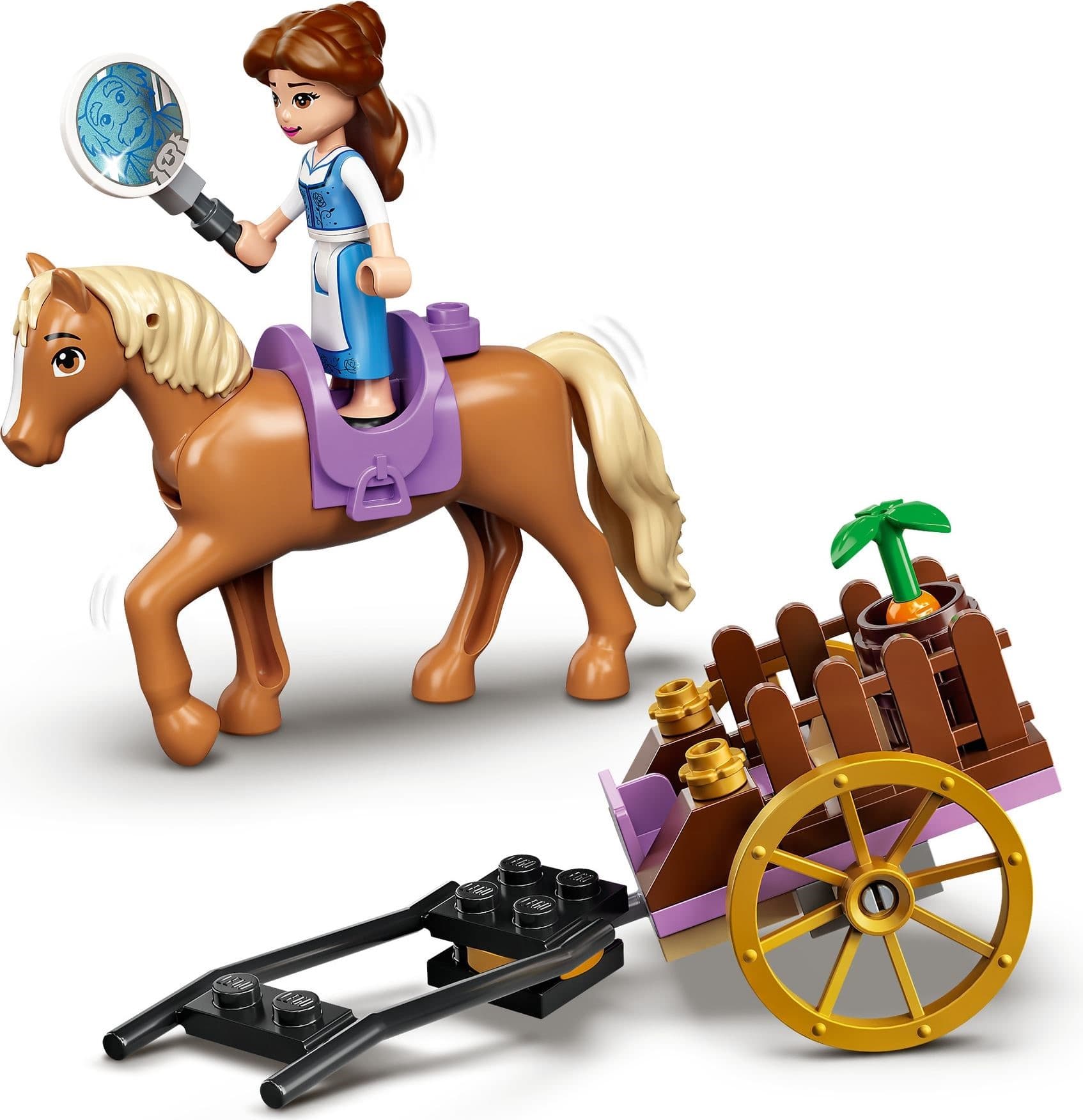 Belle and the Beast's Castle