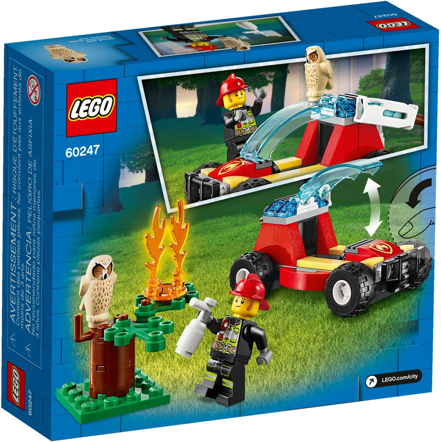 Forest Fire