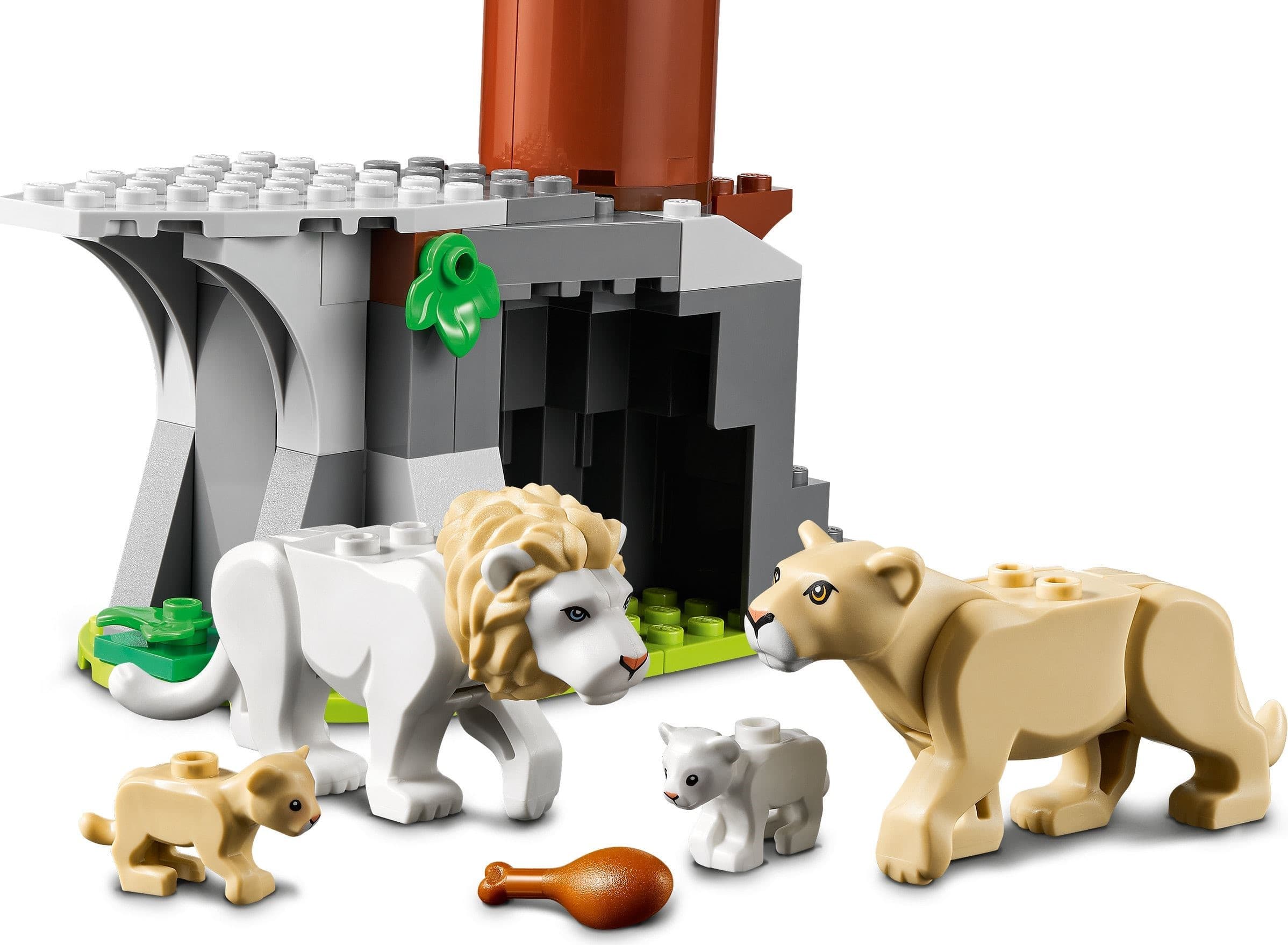 Wildlife Rescue Camp