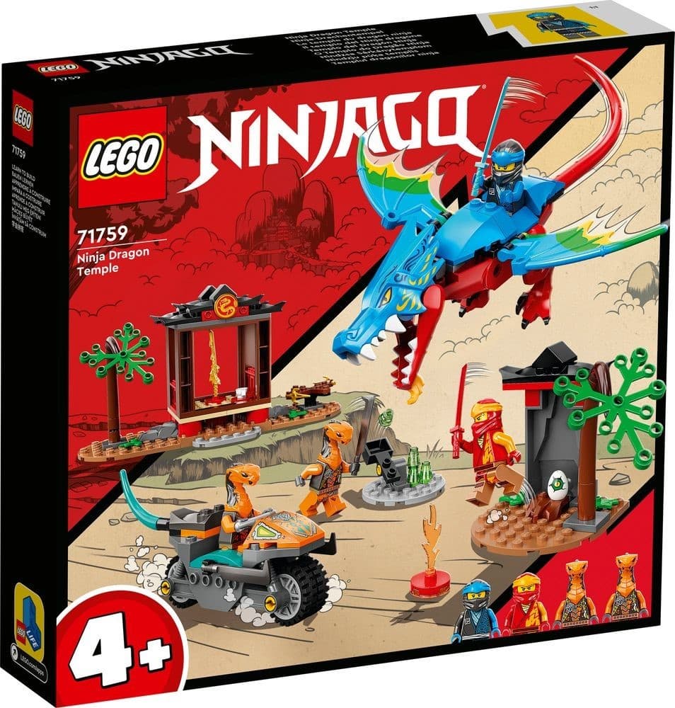 Ninja Dragon Temple
