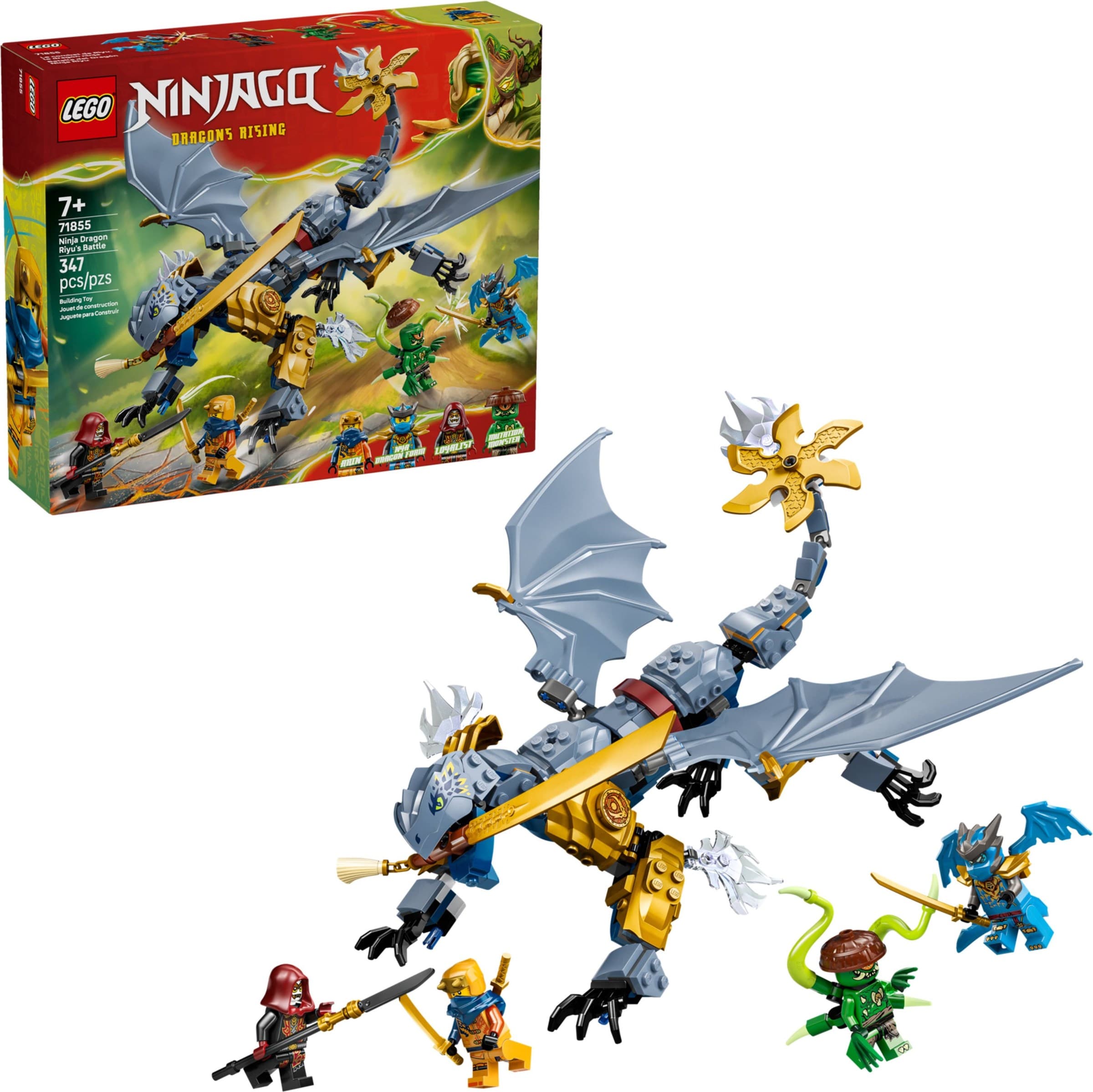 Ninja Dragon Riyu's Battle