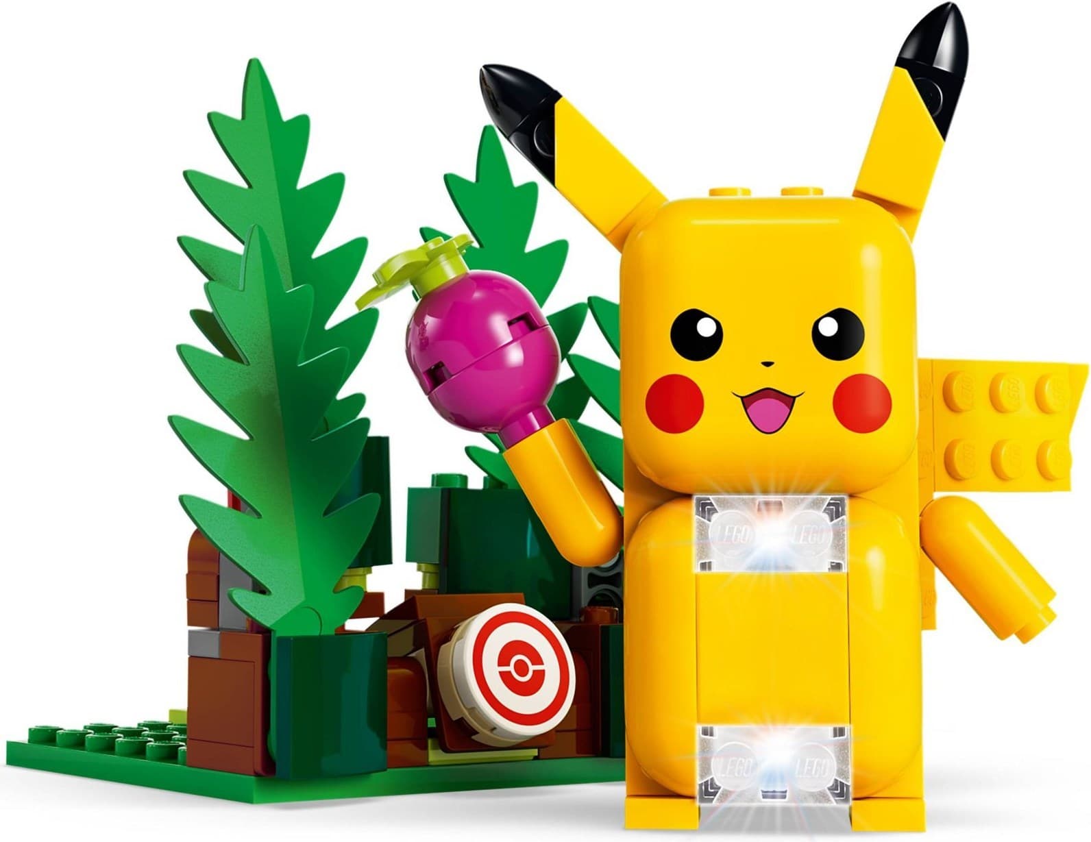 Training House with Pikachu