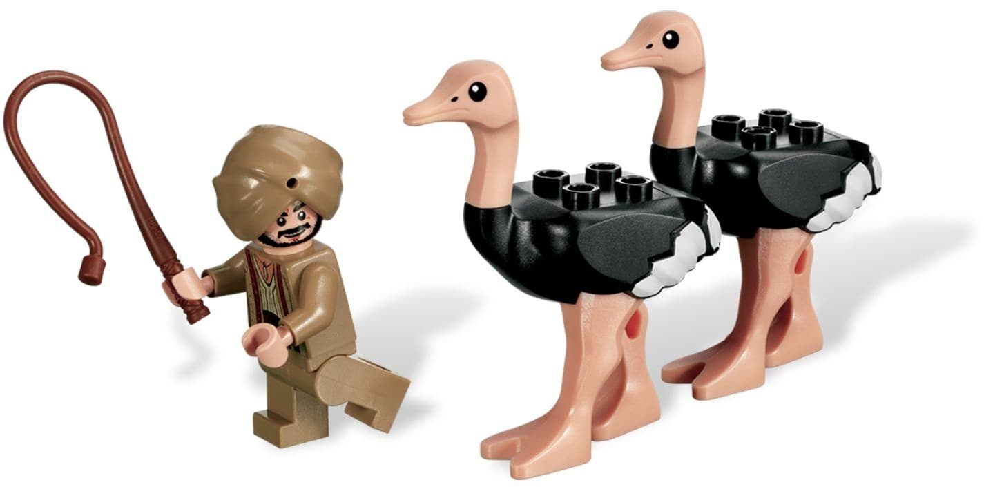 The Ostrich Race