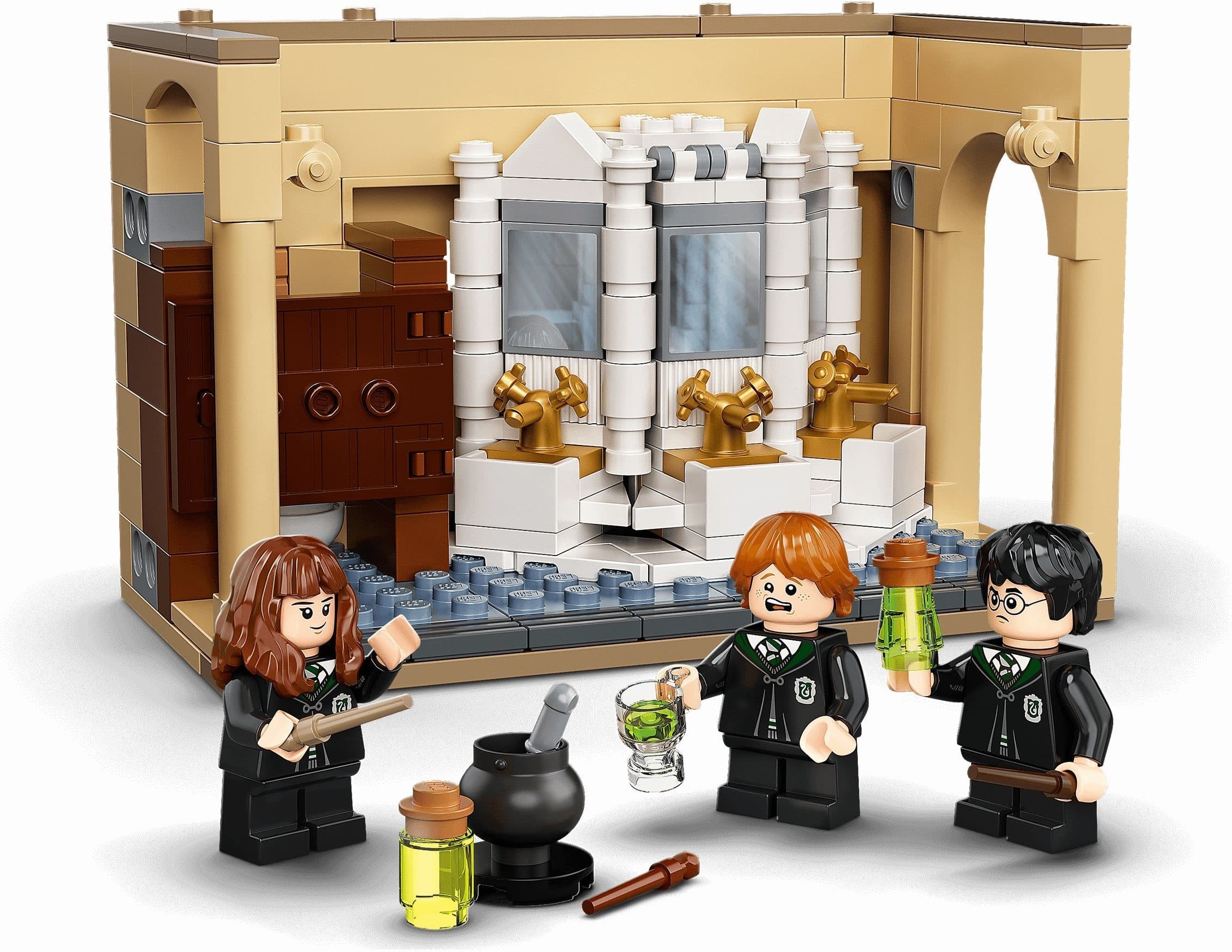 Hogwarts: Polyjuice Potion Mistake