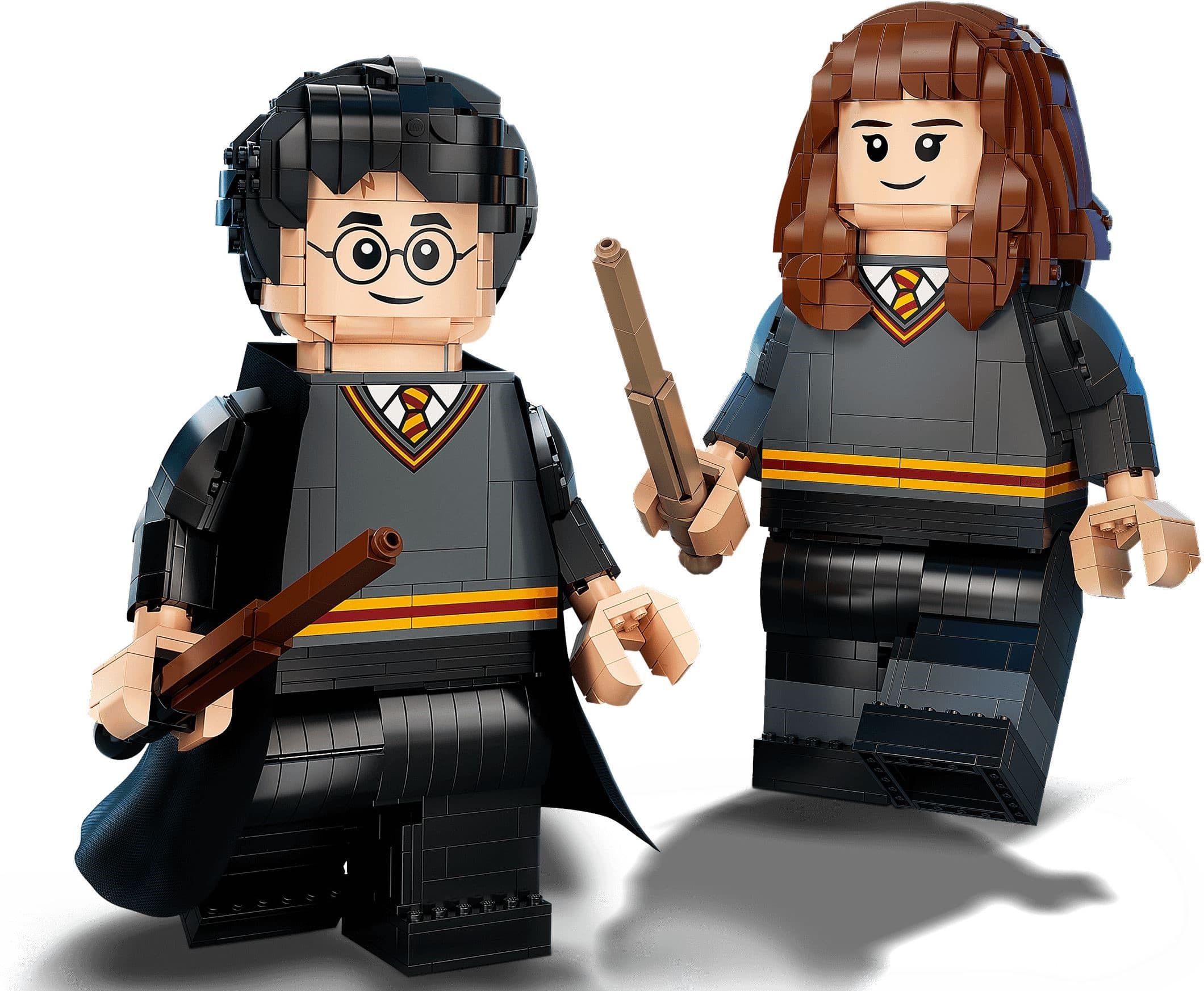 Harry Potter & Hermione Granger