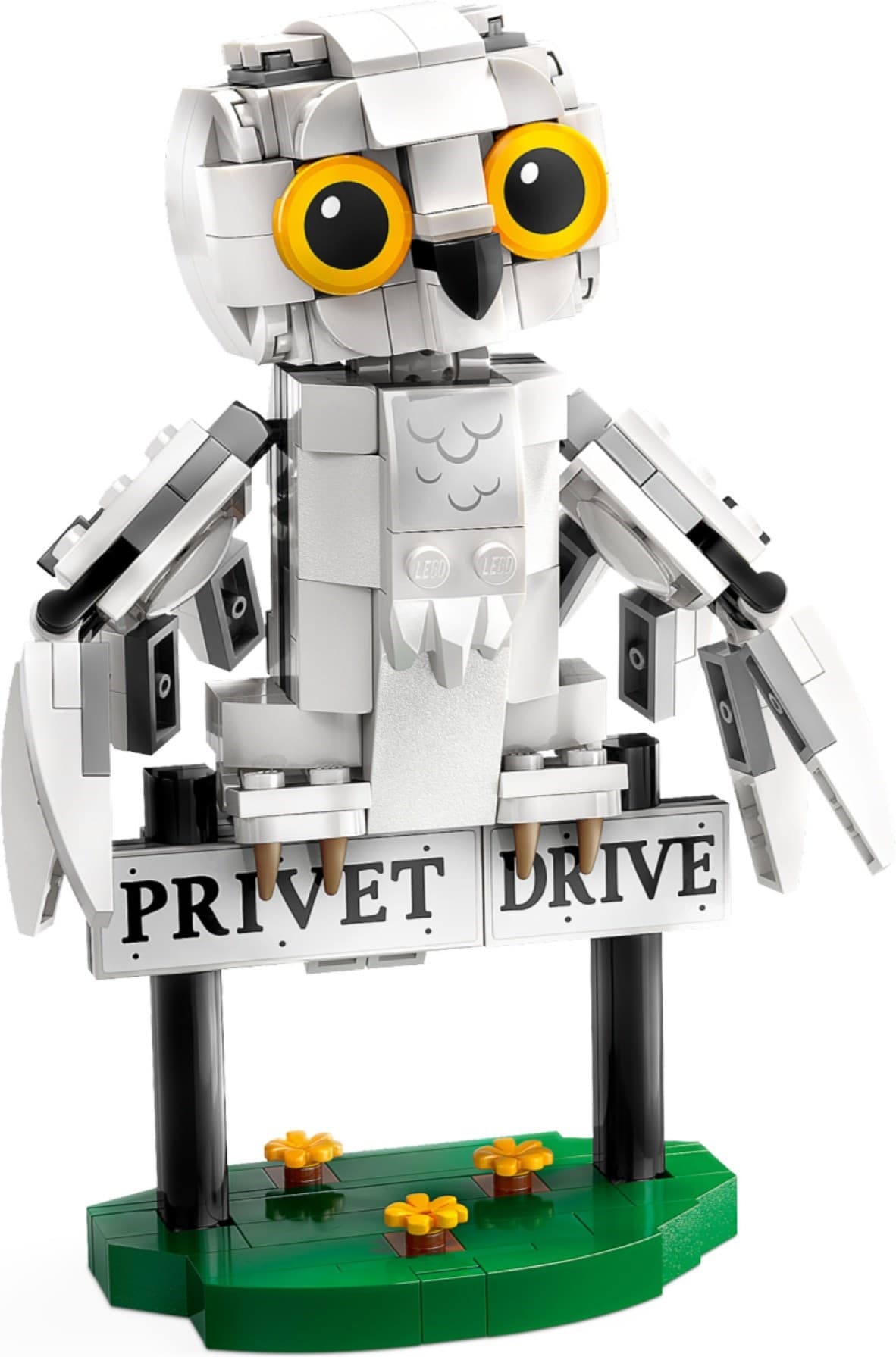 Hedwig at 4 Privet Drive