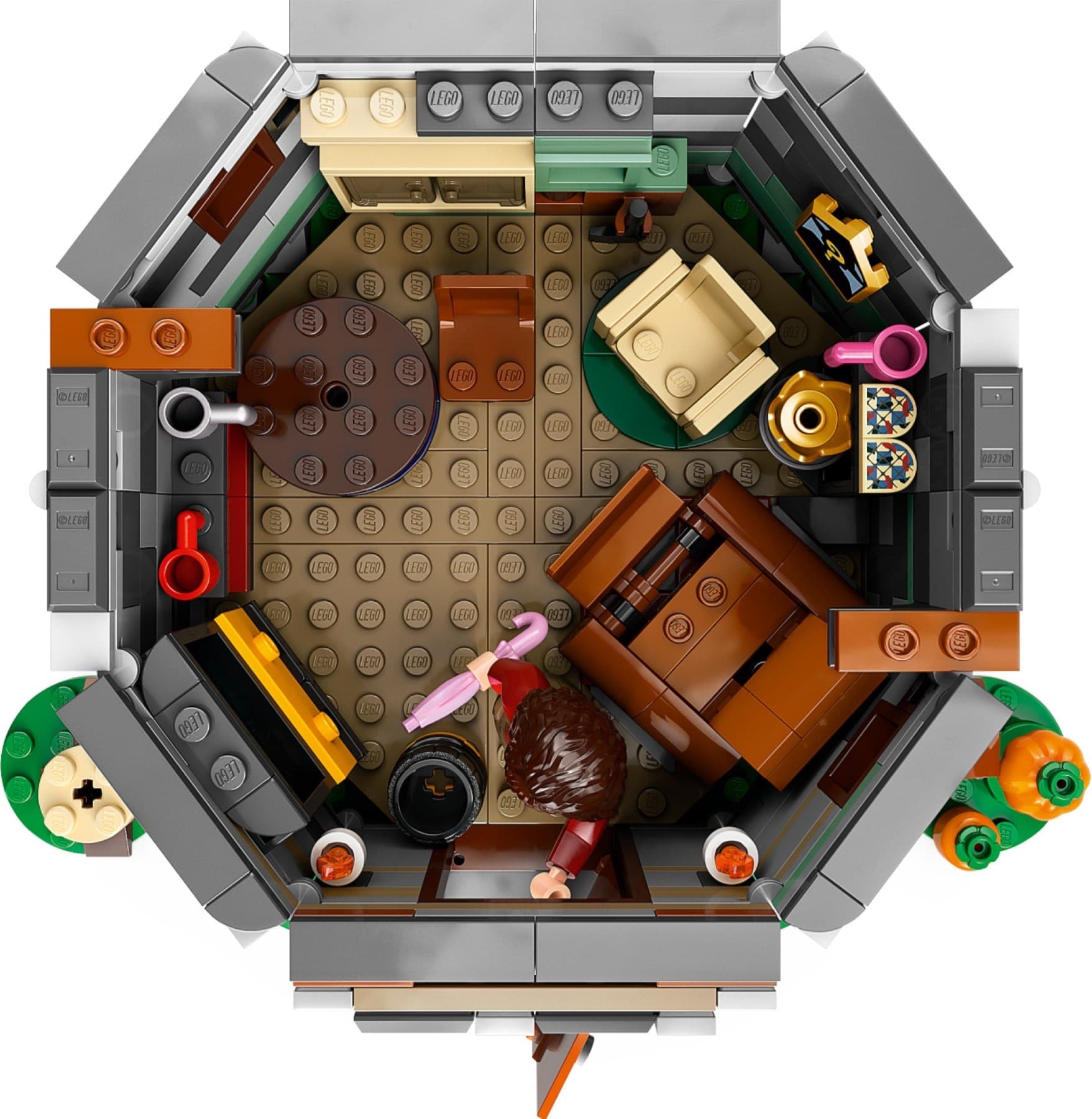 Hagrid's Hut: An Unexpected Visit