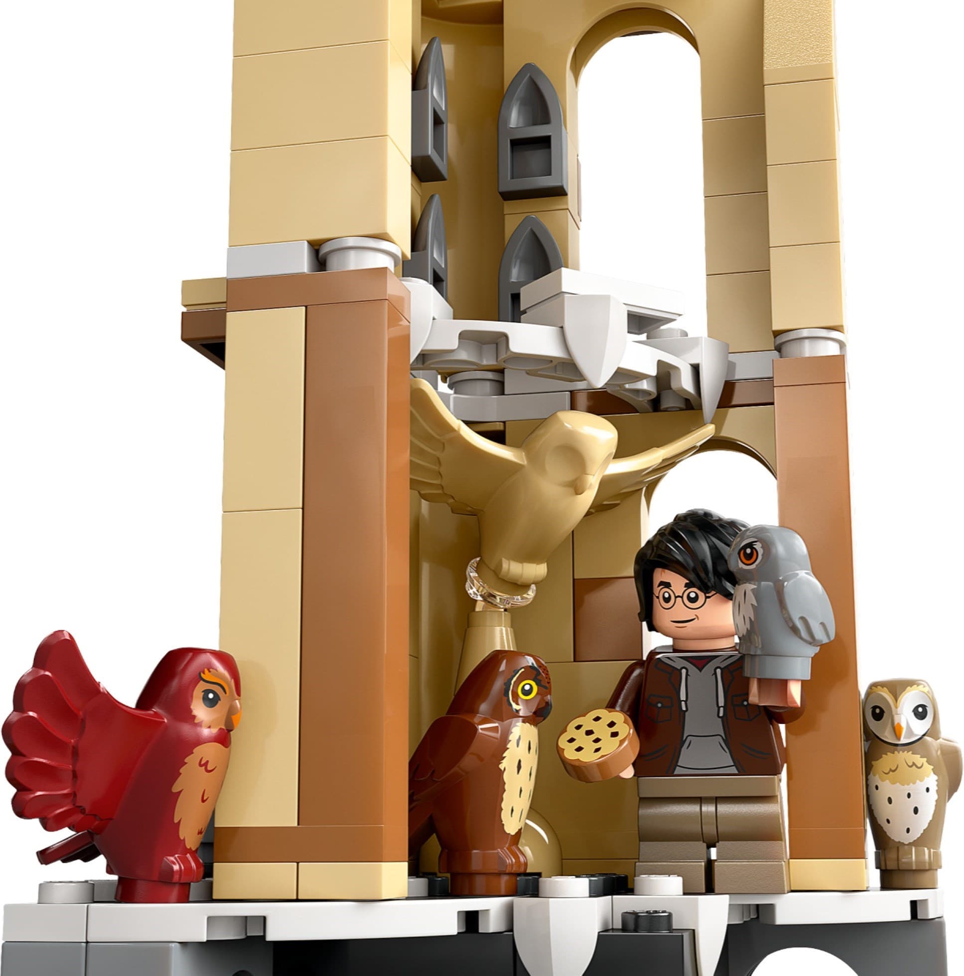 Hogwarts Castle Owlery