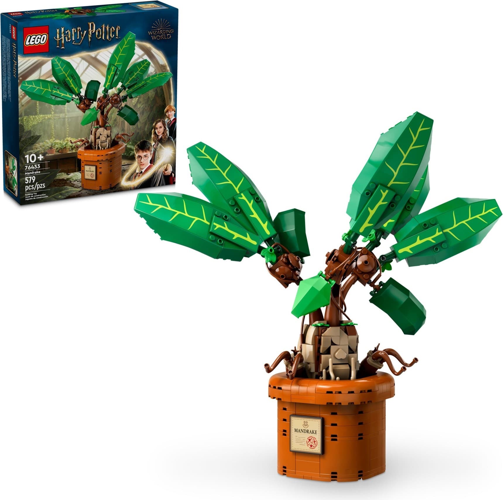 Mandrake