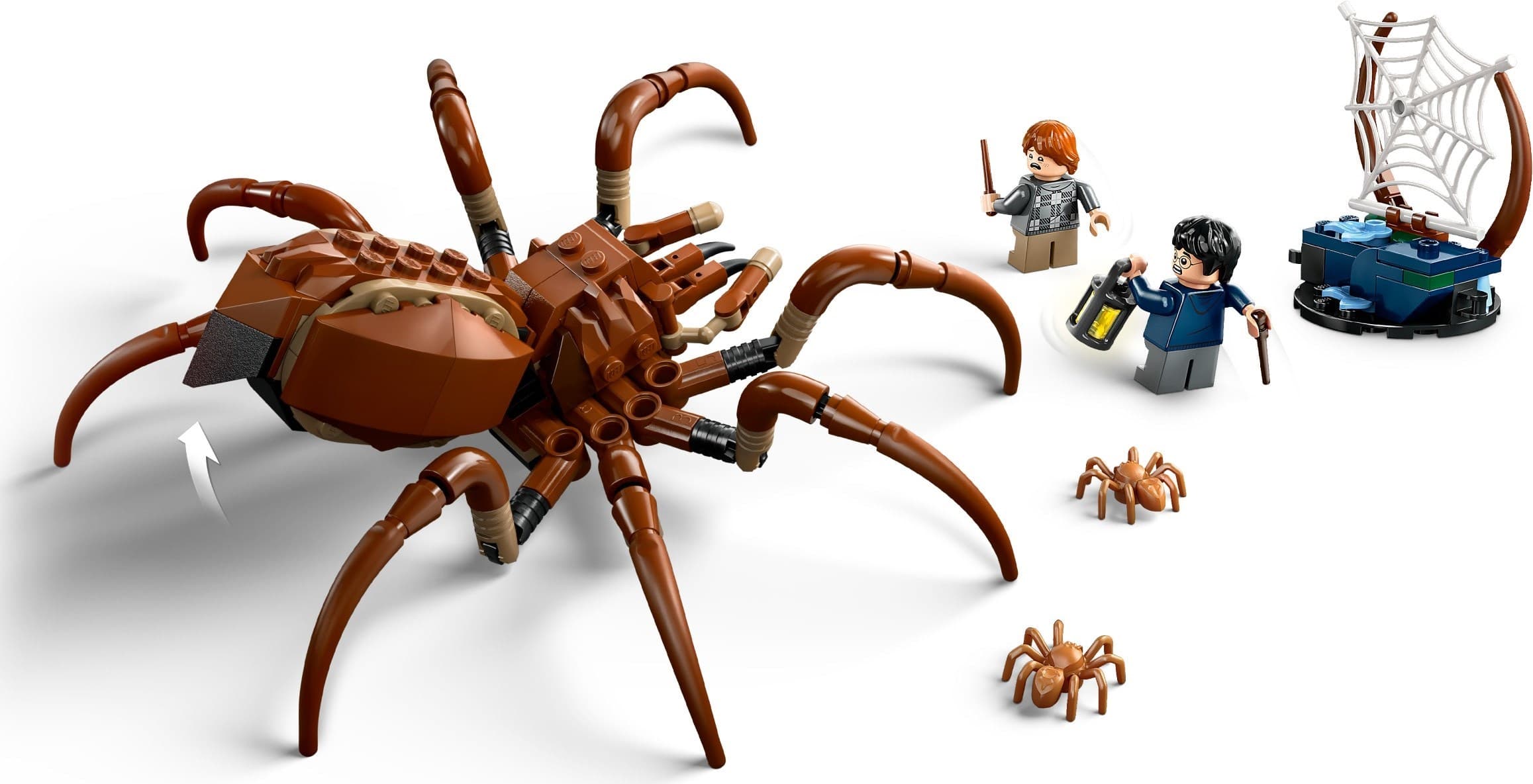 Aragog in the Forbidden Forest