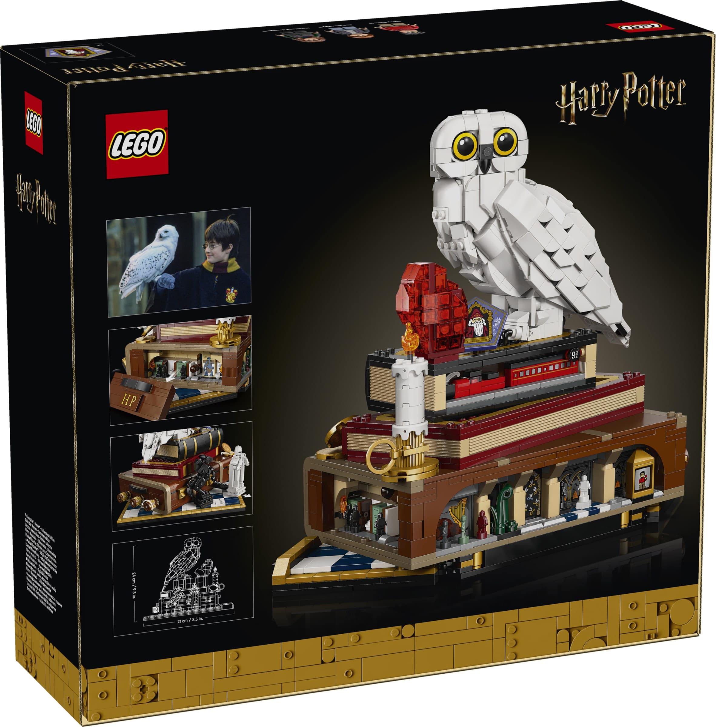 Sorcerer's Stone – Collectors' Edition