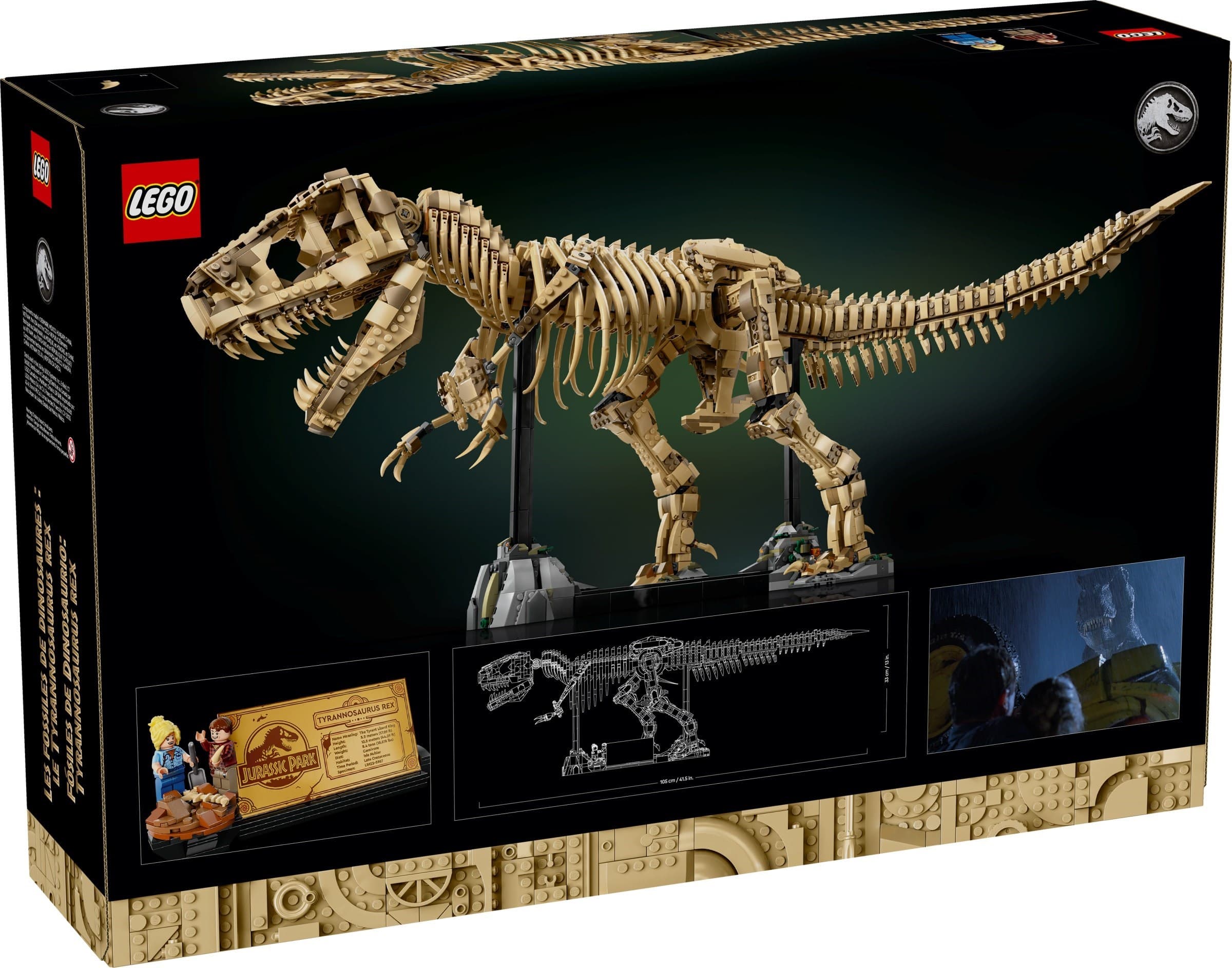 Dinosaur Fossils: Tyrannosaurus Rex