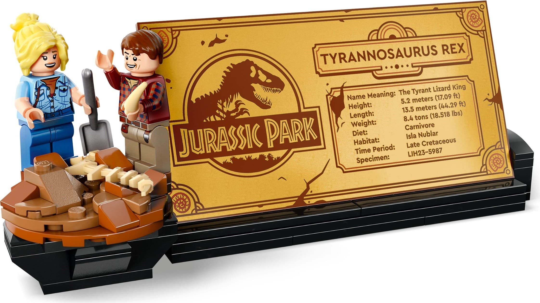 Dinosaur Fossils: Tyrannosaurus Rex