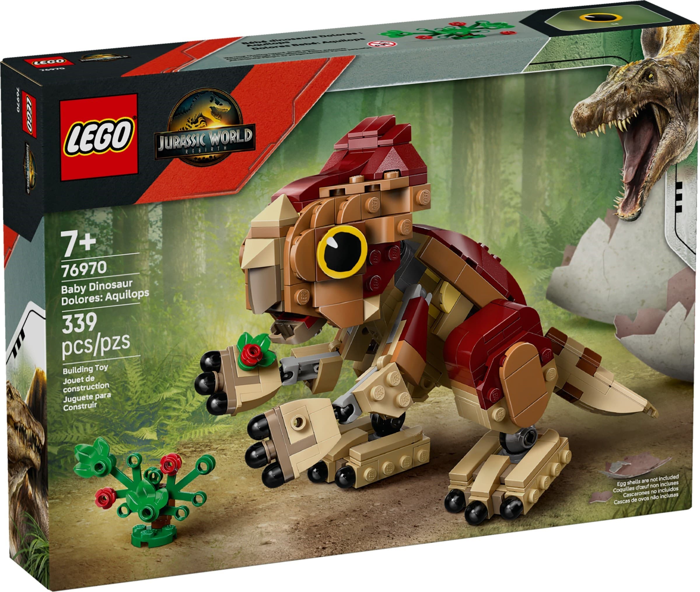 Baby Dinosaur Dolores: Aquilops
