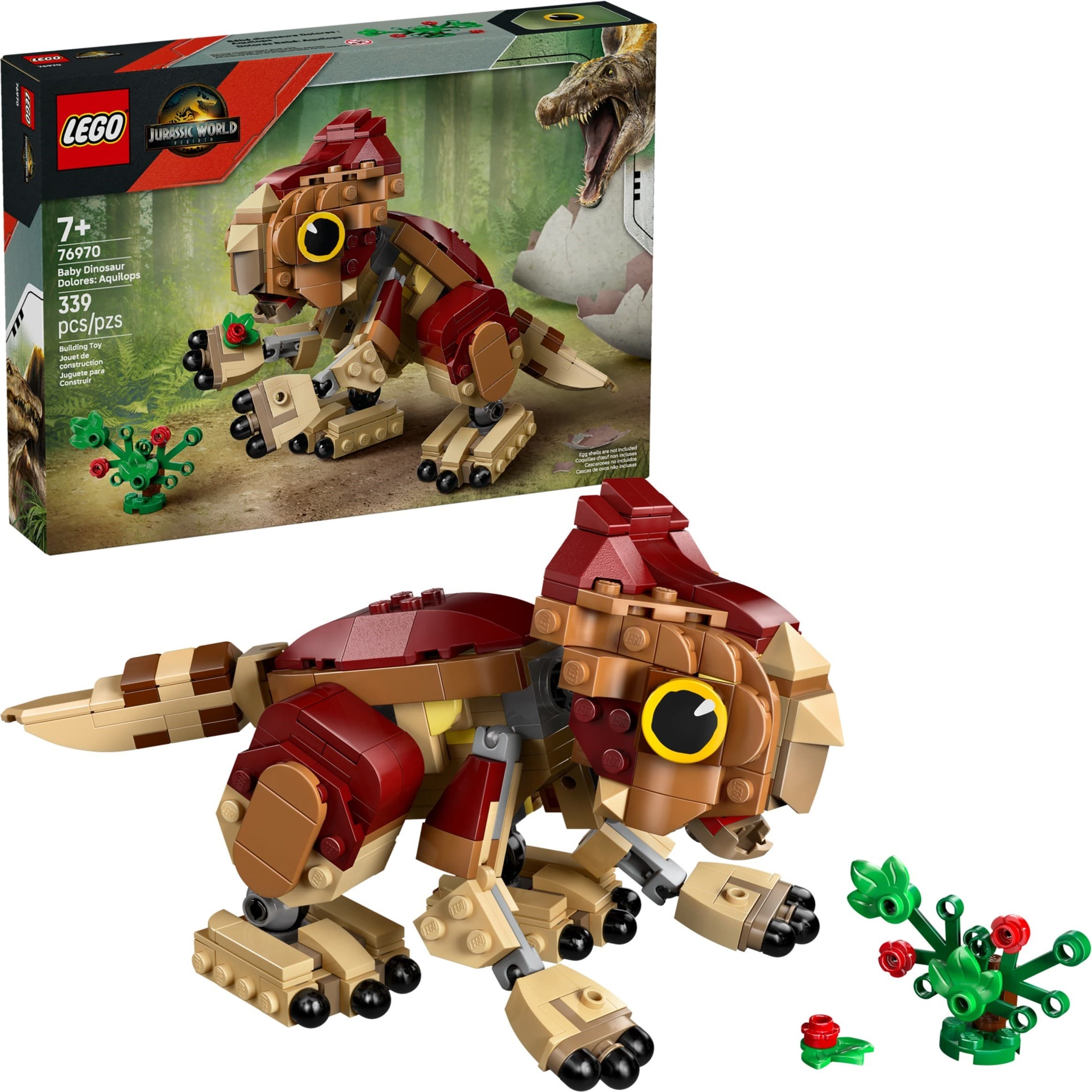 Baby Dinosaur Dolores: Aquilops