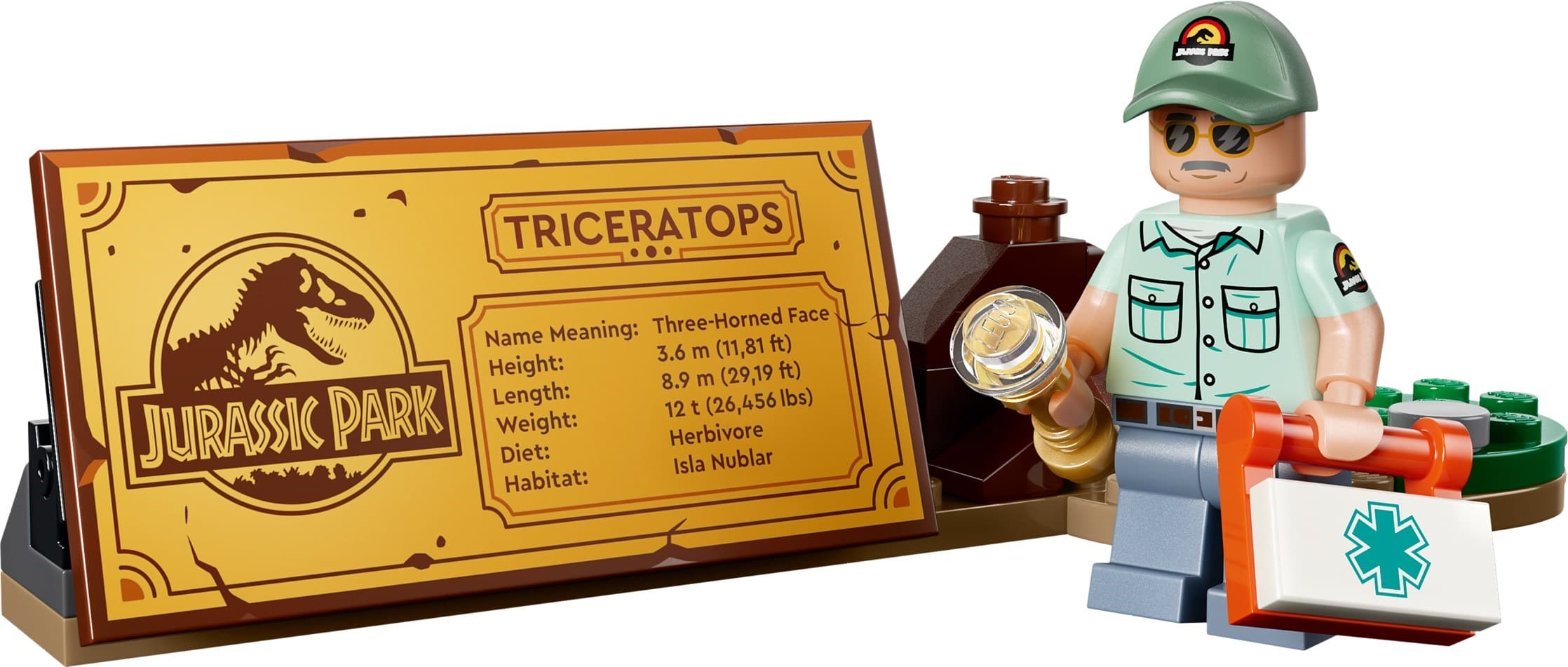 Dinosaur Fossils: Triceratops