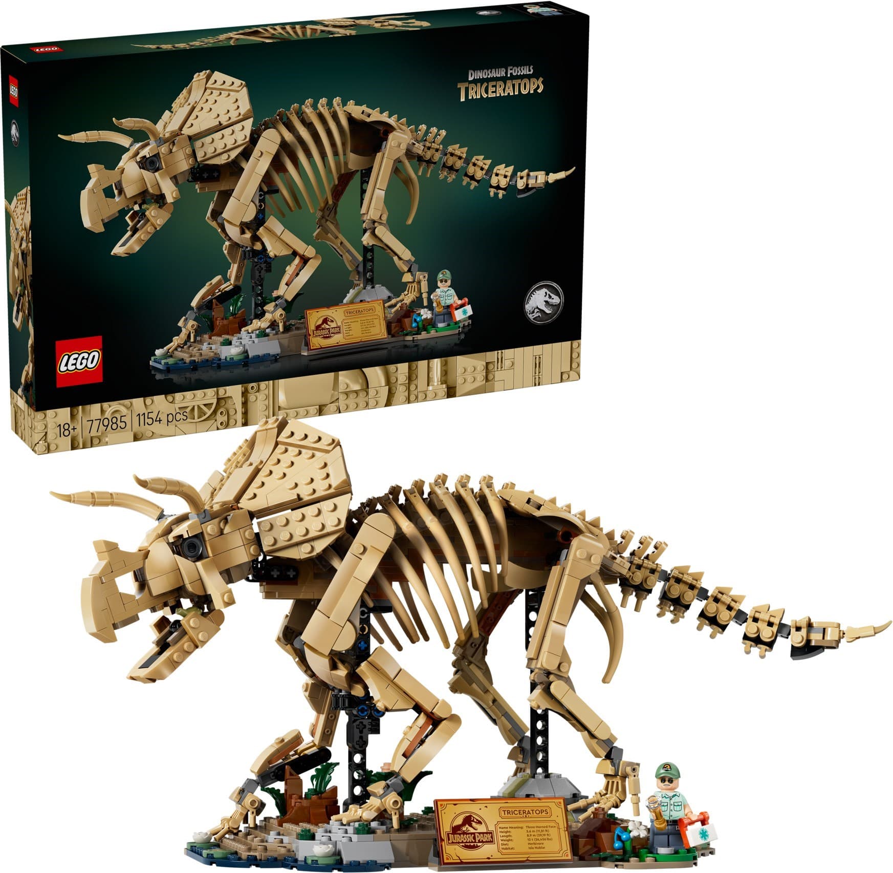 Dinosaur Fossils: Triceratops