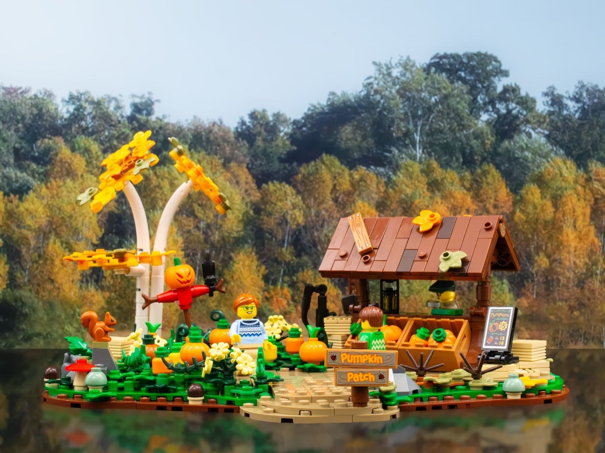 Pumpkin Patch