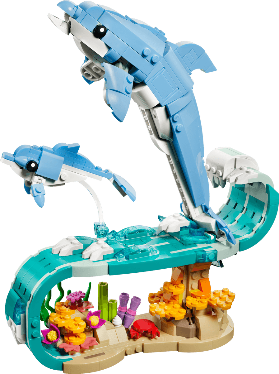 Sea Animals: Beautiful Dolphins