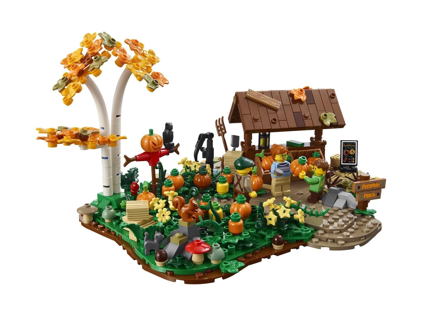 Pumpkin Patch