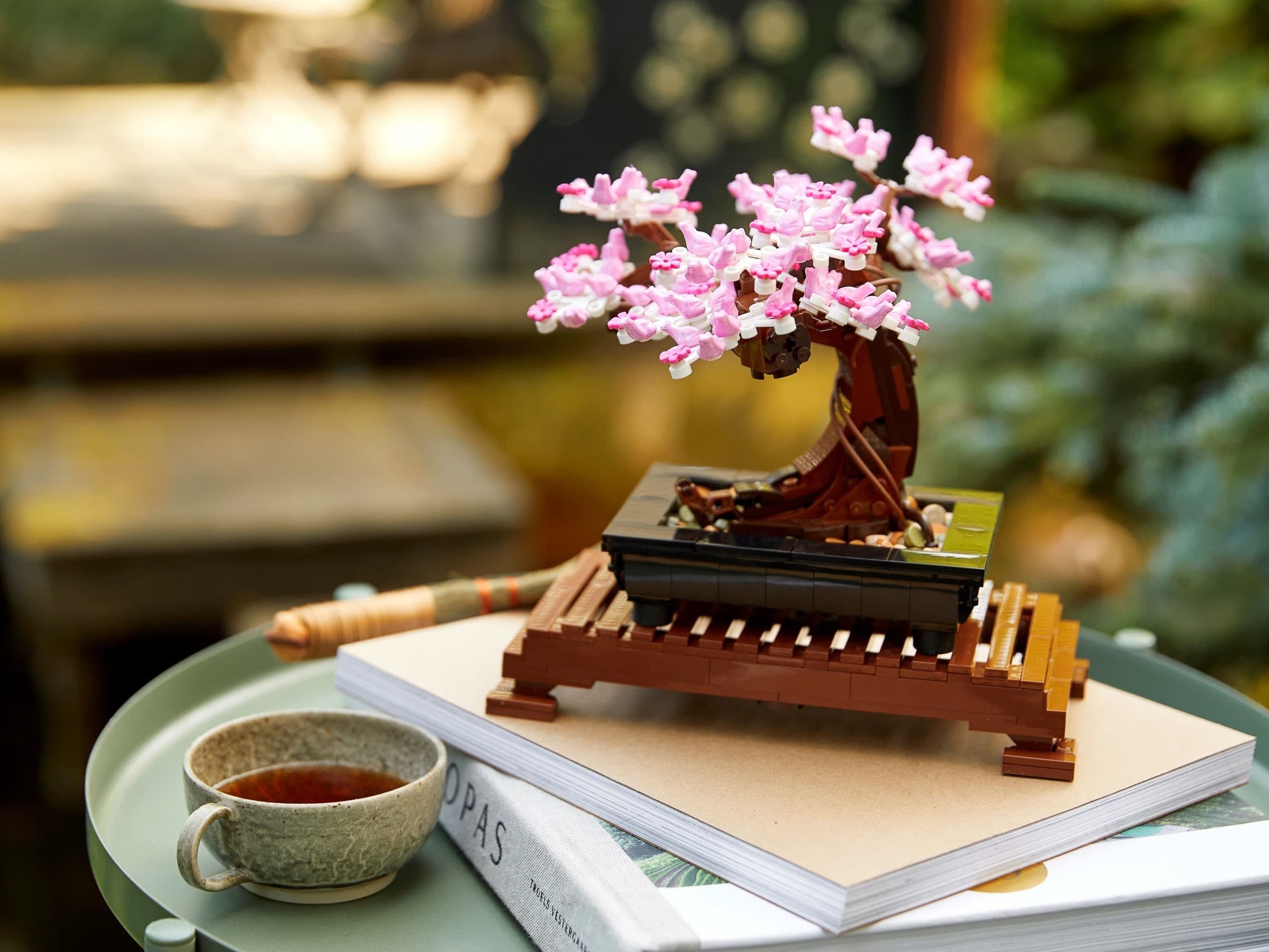 Bonsai Tree
