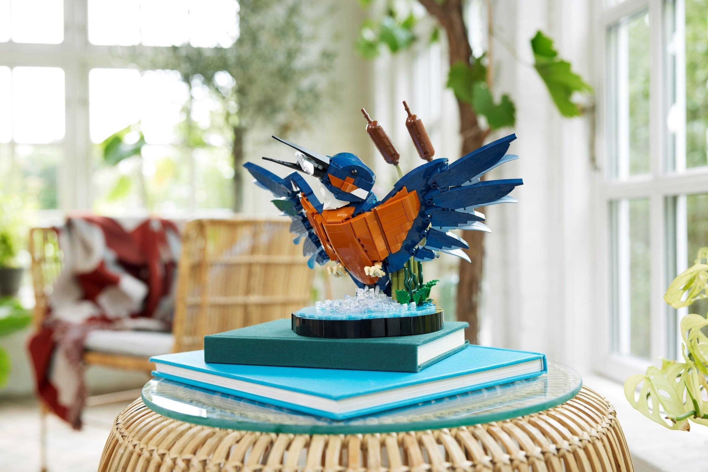 Kingfisher Bird