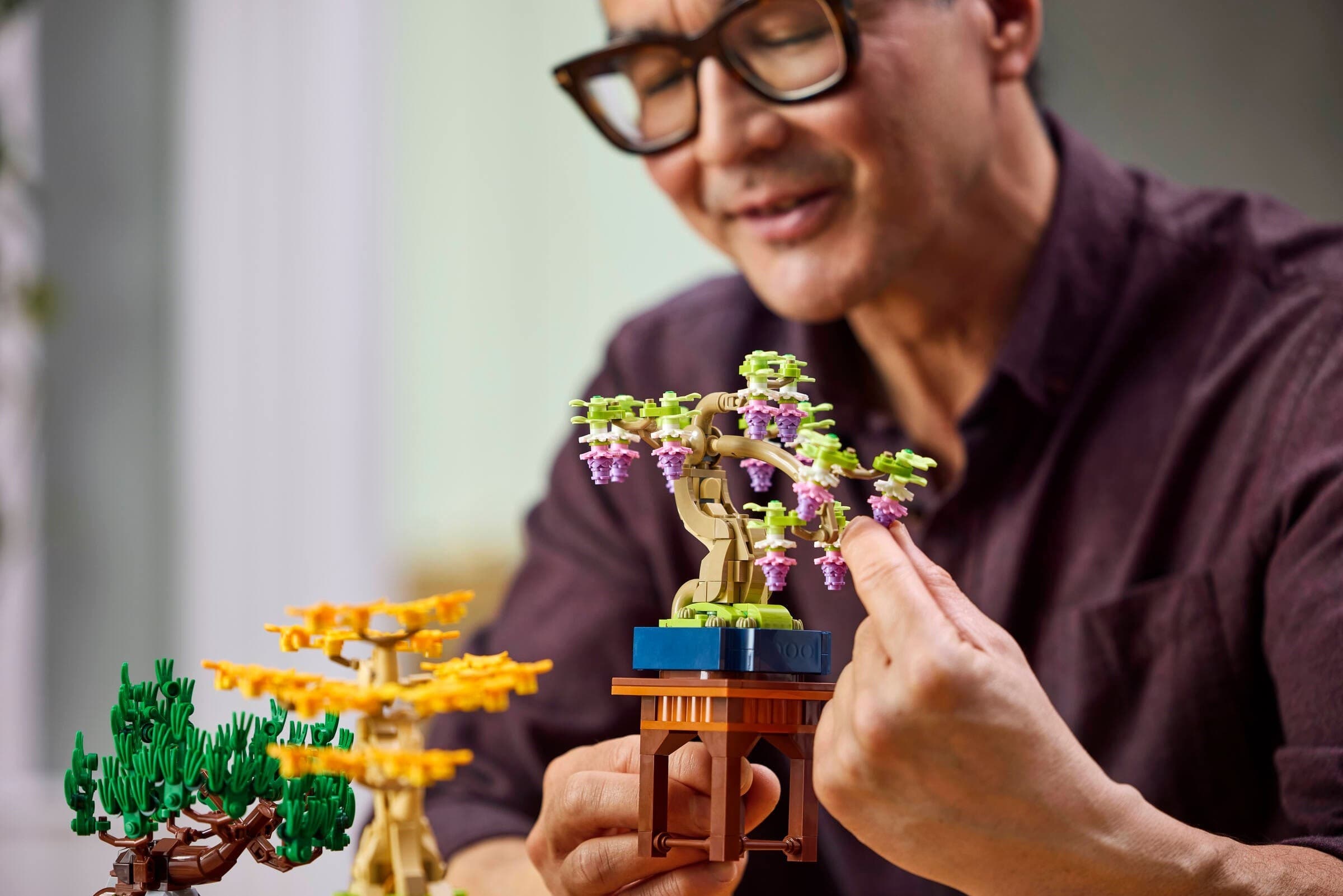 Mini Bonsai Trees