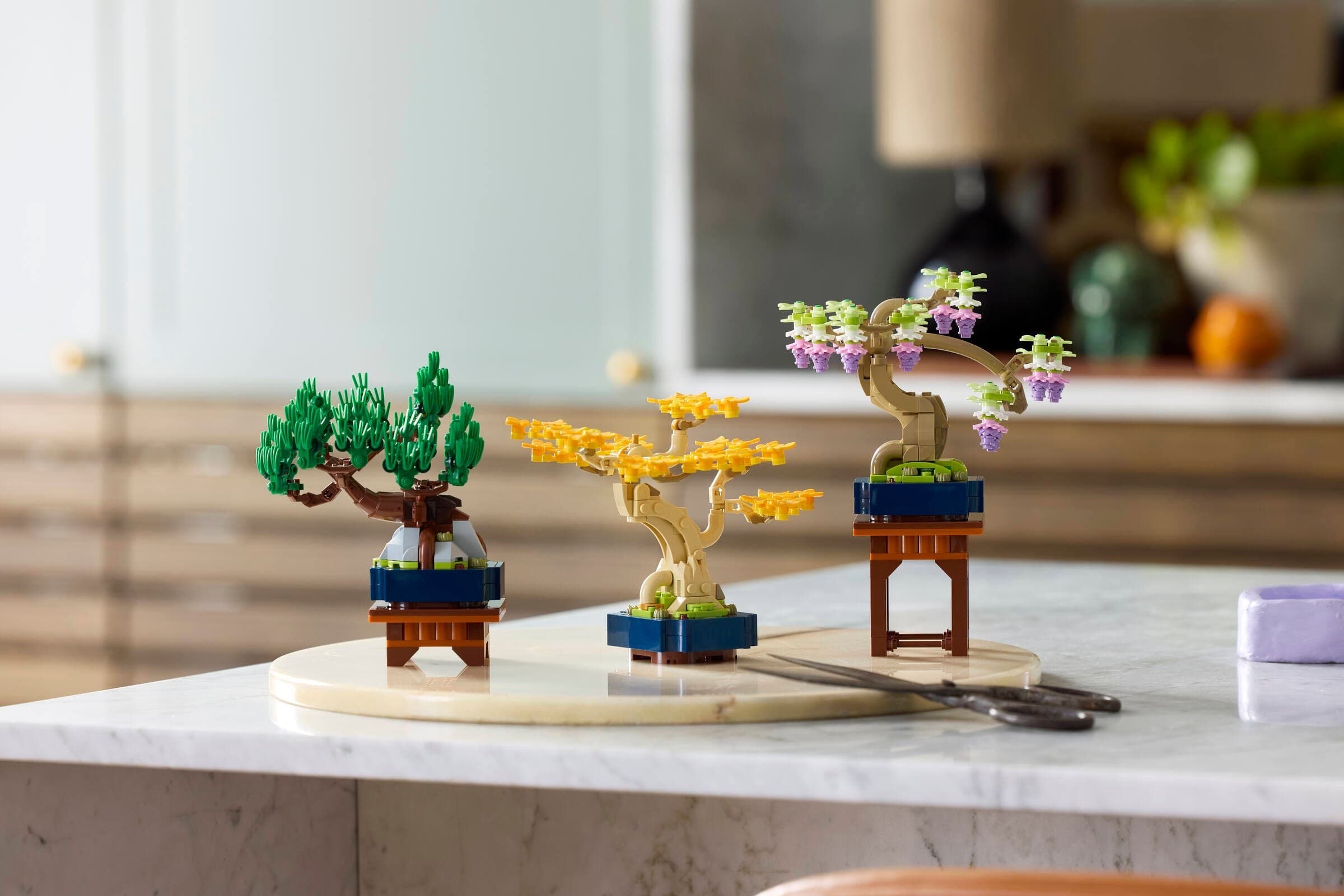 Mini Bonsai Trees