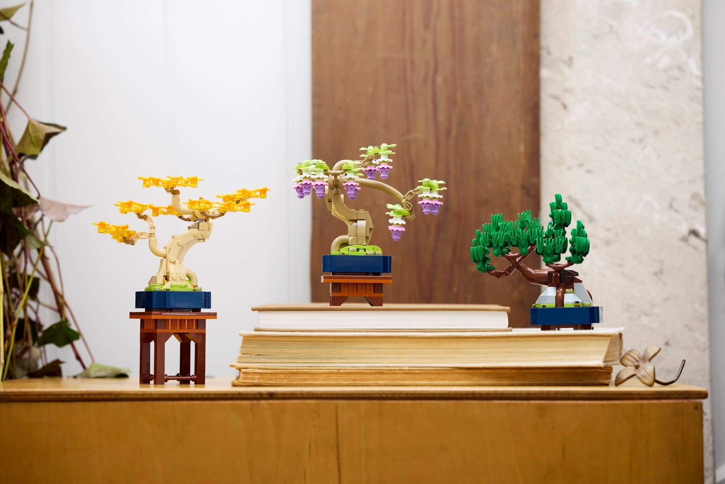 Mini Bonsai Trees