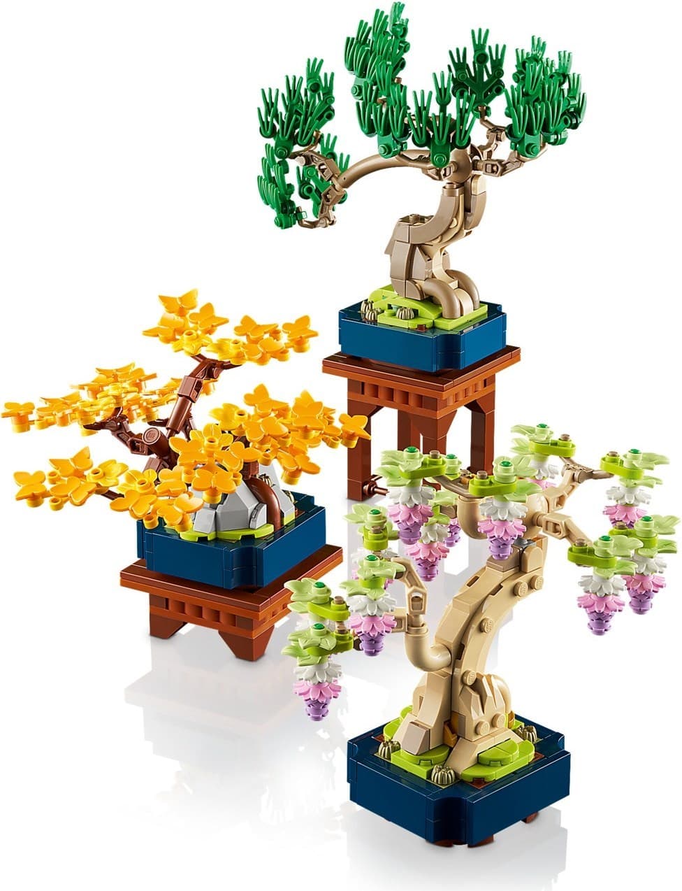 Mini Bonsai Trees