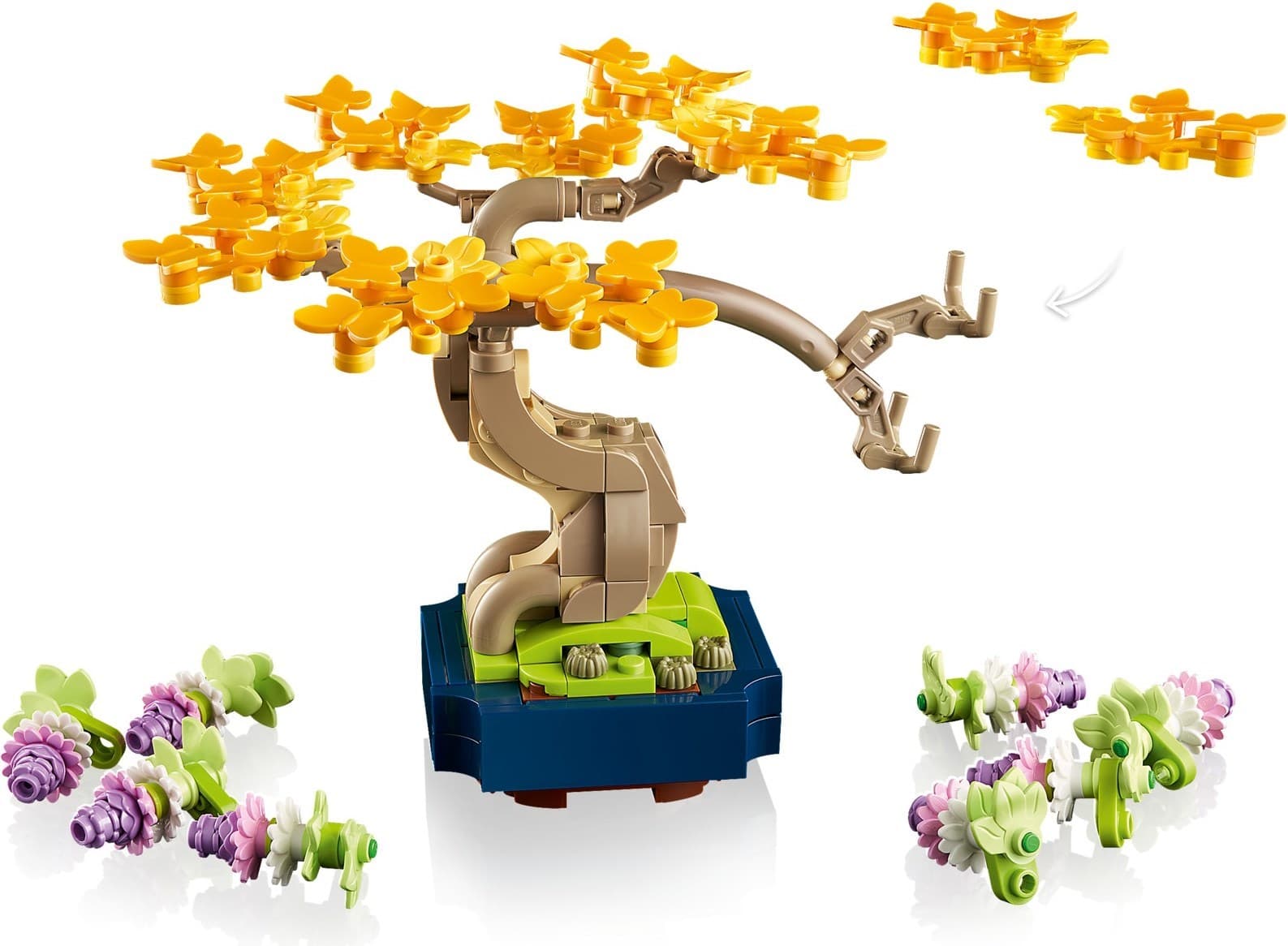 Mini Bonsai Trees